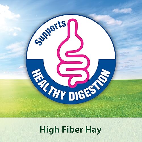 Miniatura 4 de Kaytee Cubos de alfalfa para conejos conejillos de indias y otros animales pequeños 15 onzas