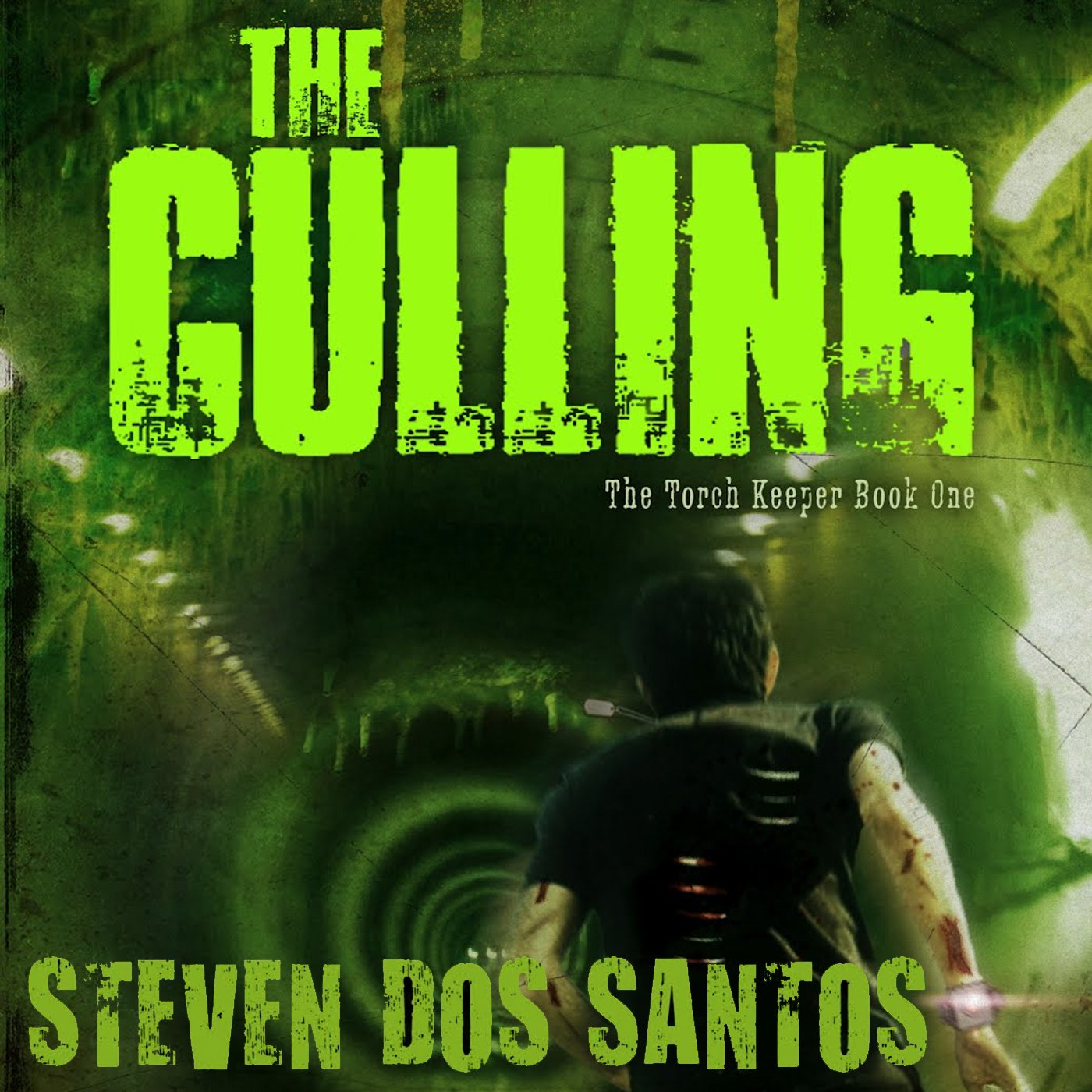 Cover art for The Culling