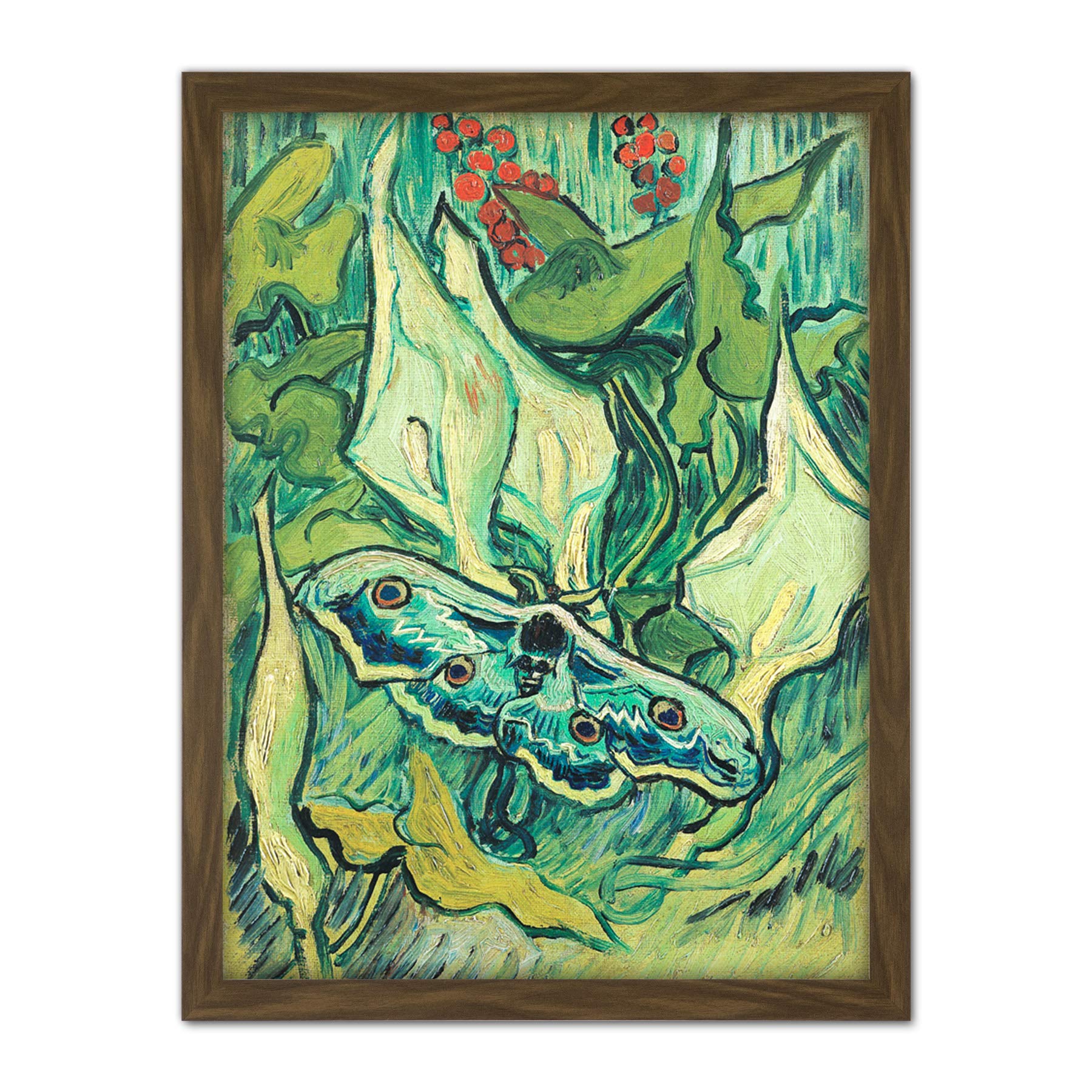 Vincent Van Gogh Emperor Moth Large Framed Art Print Poster Wall Decor 18x24