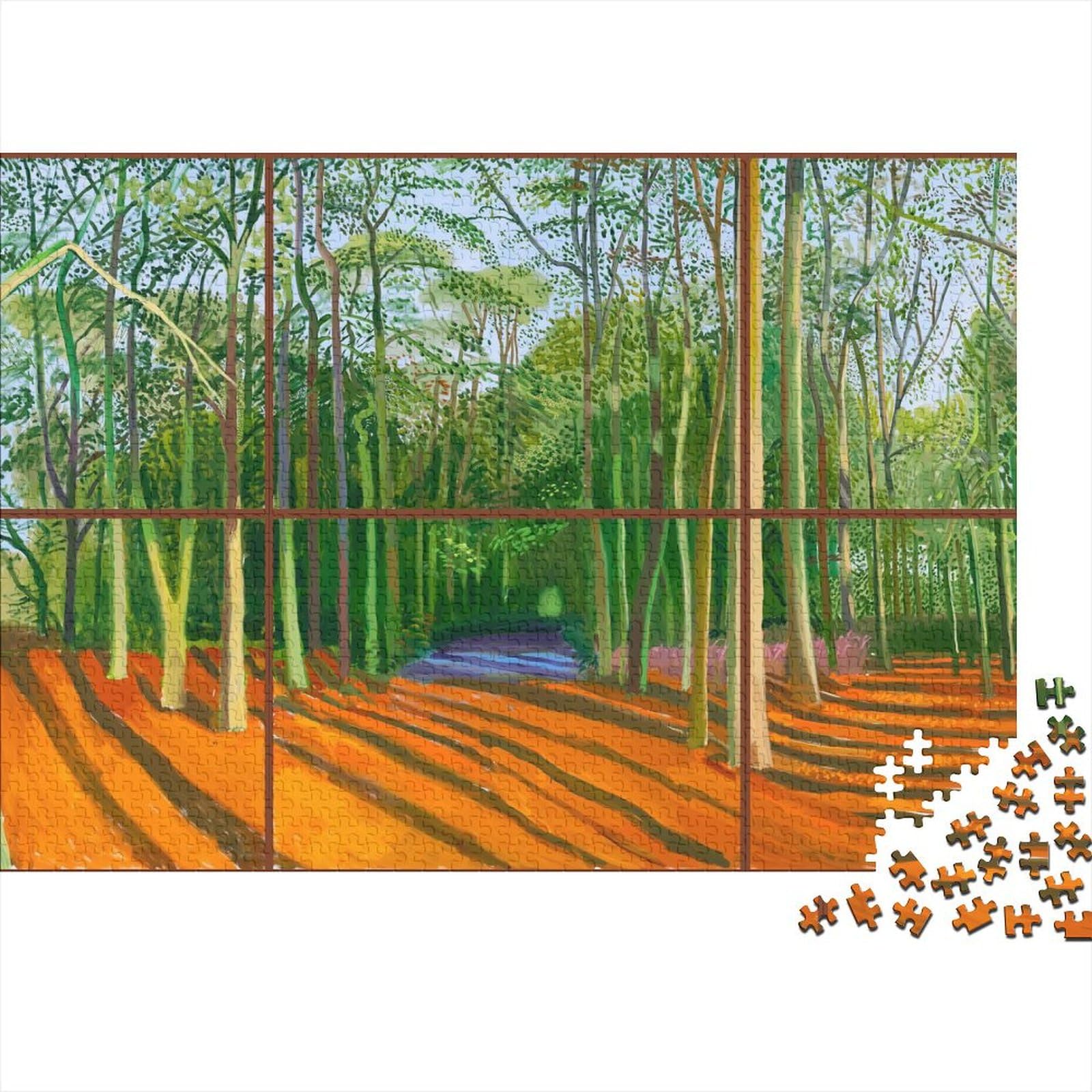 David Hockney Puzzles Wooden 1000 Pieces Fine Art Jigsaw Impossible Museum Jigsaws Oil Painting Puzzles Challenge Toy Educational Games