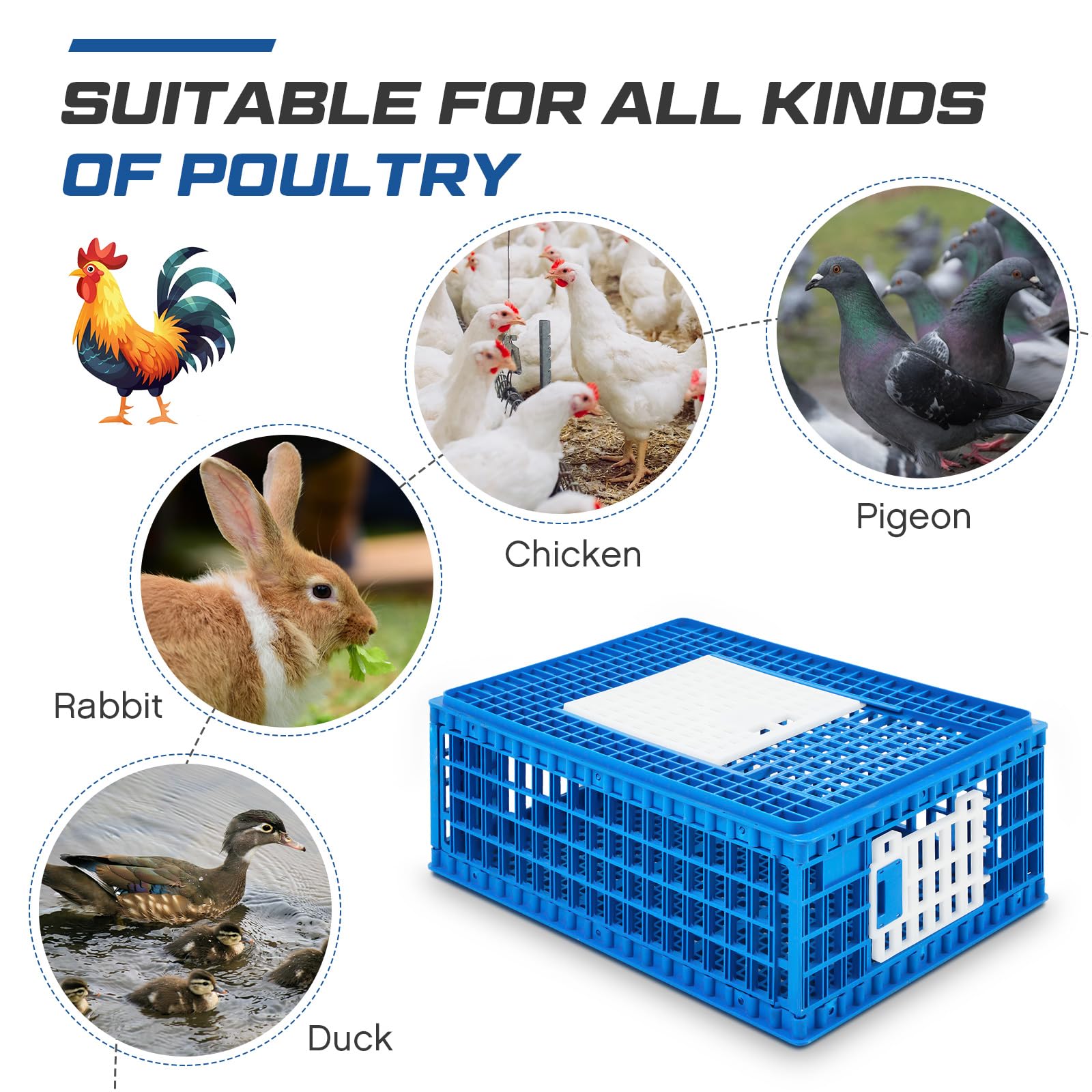 Sintuff Lot De 2 Cages De Transport En Plastique Pour Volaille, Poulet, Canard, Oie, 75 X 55 X 29 Cm