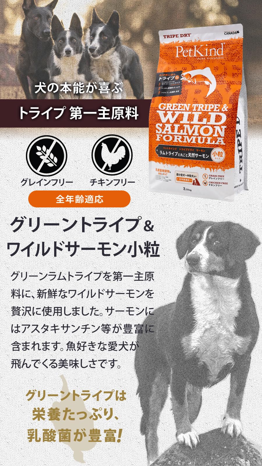 Amazon.co.jp: PetKind トライプドライ ワイルドサーモン小粒 (2.72kg
