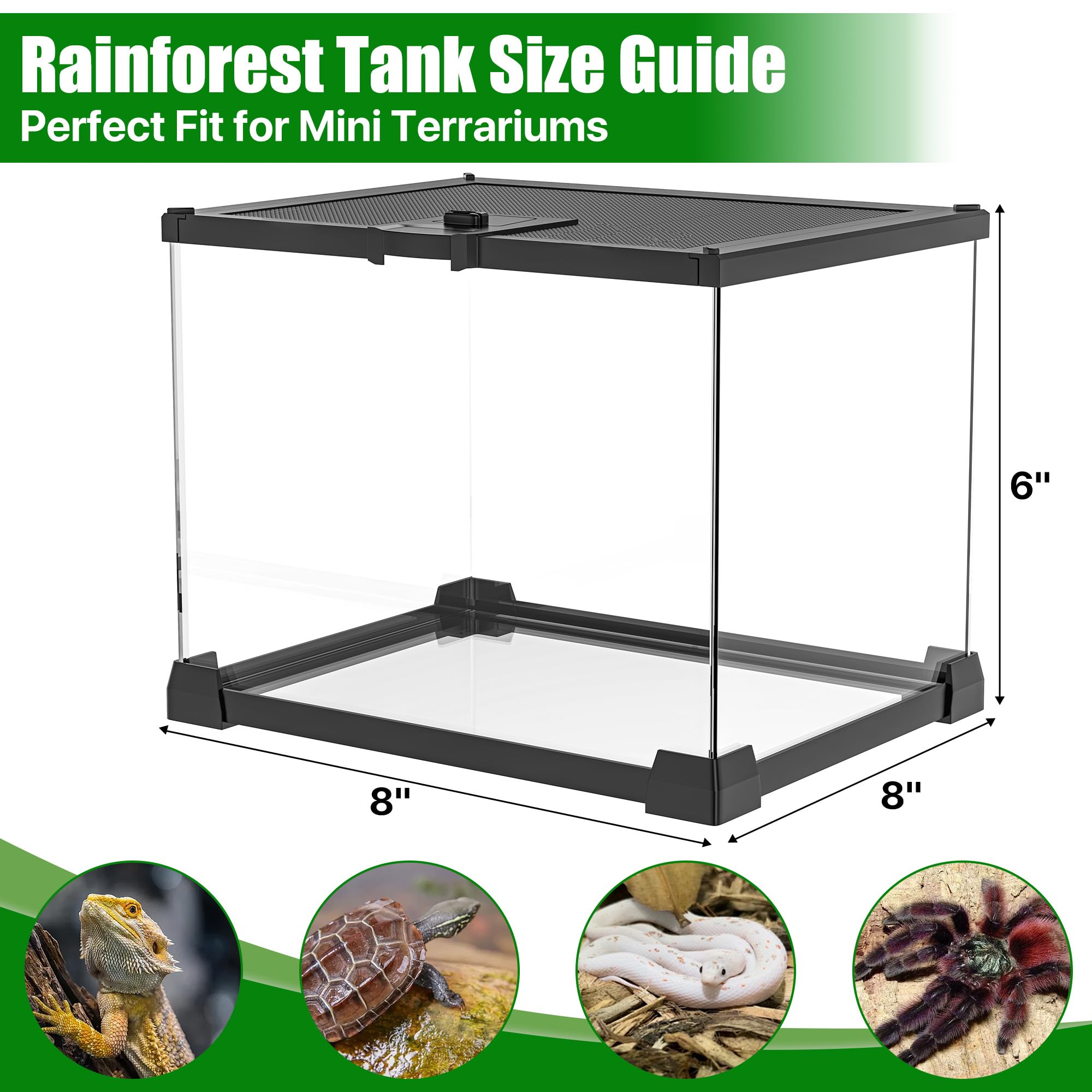Mini szklany zbiornik terrarium 20 cm x 20 cm x 15 cm z otwieraną od góry pokrywą siatkową, przejrzysty widok 360°, wentylowana obudowa dla ptaszników, skaczących pająków, izopodów, żab i