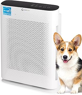 Air Purifier for Home Allergies & Pets | 4-in-1 H13 True HEPA Filter/Ionizer/Carbon + UV Light | Portable Air Purifiers for Large Room & Bedroom Odor Elimination - InvisiClean Aura II