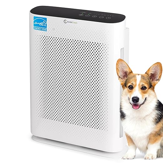 Air Purifier for Home Allergies & Pets | 4-in-1 H13 True HEPA Filter/Ionizer/Carbon + UV Light | Portable Air Purifiers for Large Room & Bedroom Odor Elimination - InvisiClean Aura II