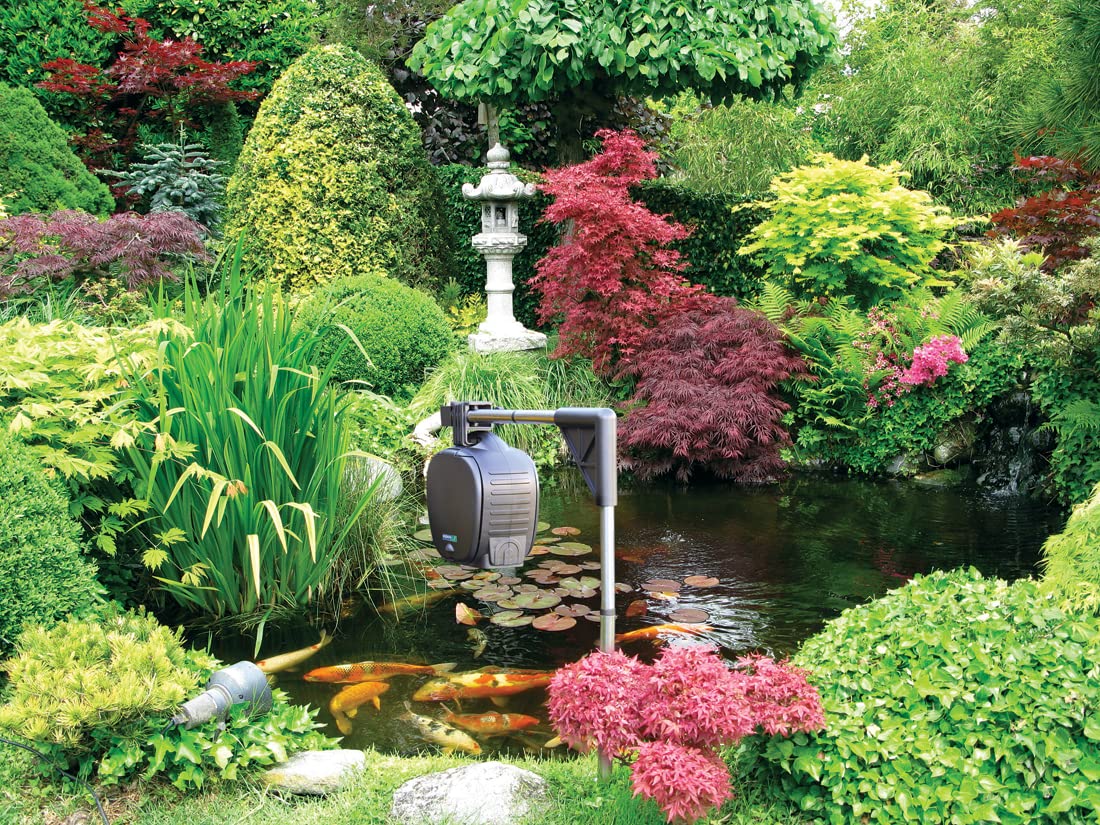HOZELOCK - Distributeur Automatique de Nourriture pour Poisson sur Pic : Distributeur de Nourriture pour Bassin, Fonctionne sur Pile, Capacité 800 mL, Facile d'Installation avec son Pic [3958 0000]