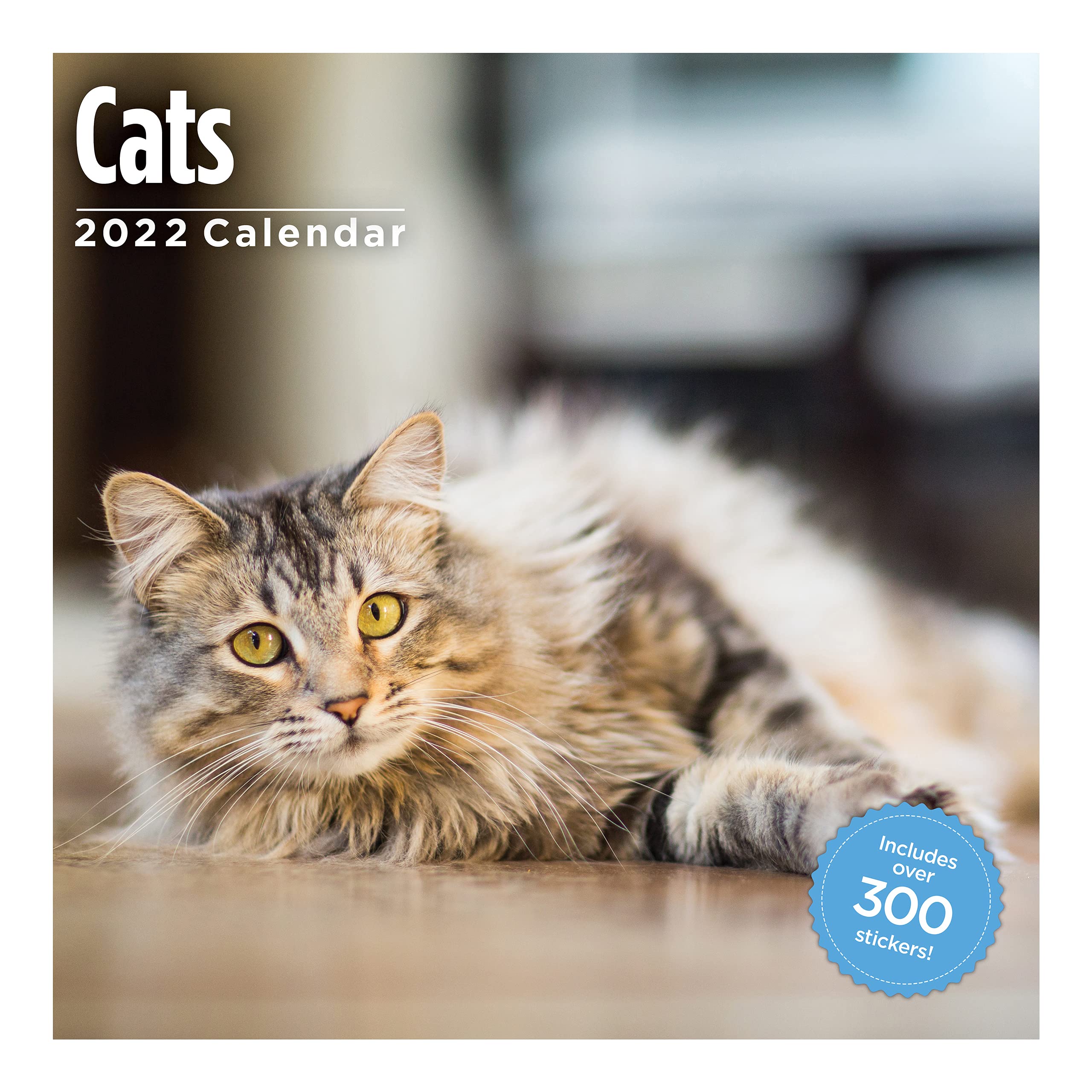 Cats 2022 Wall Calendar