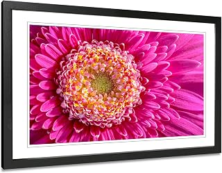 Gerbera Flower Photography Print. Abstract Pink Framed Wall Art.