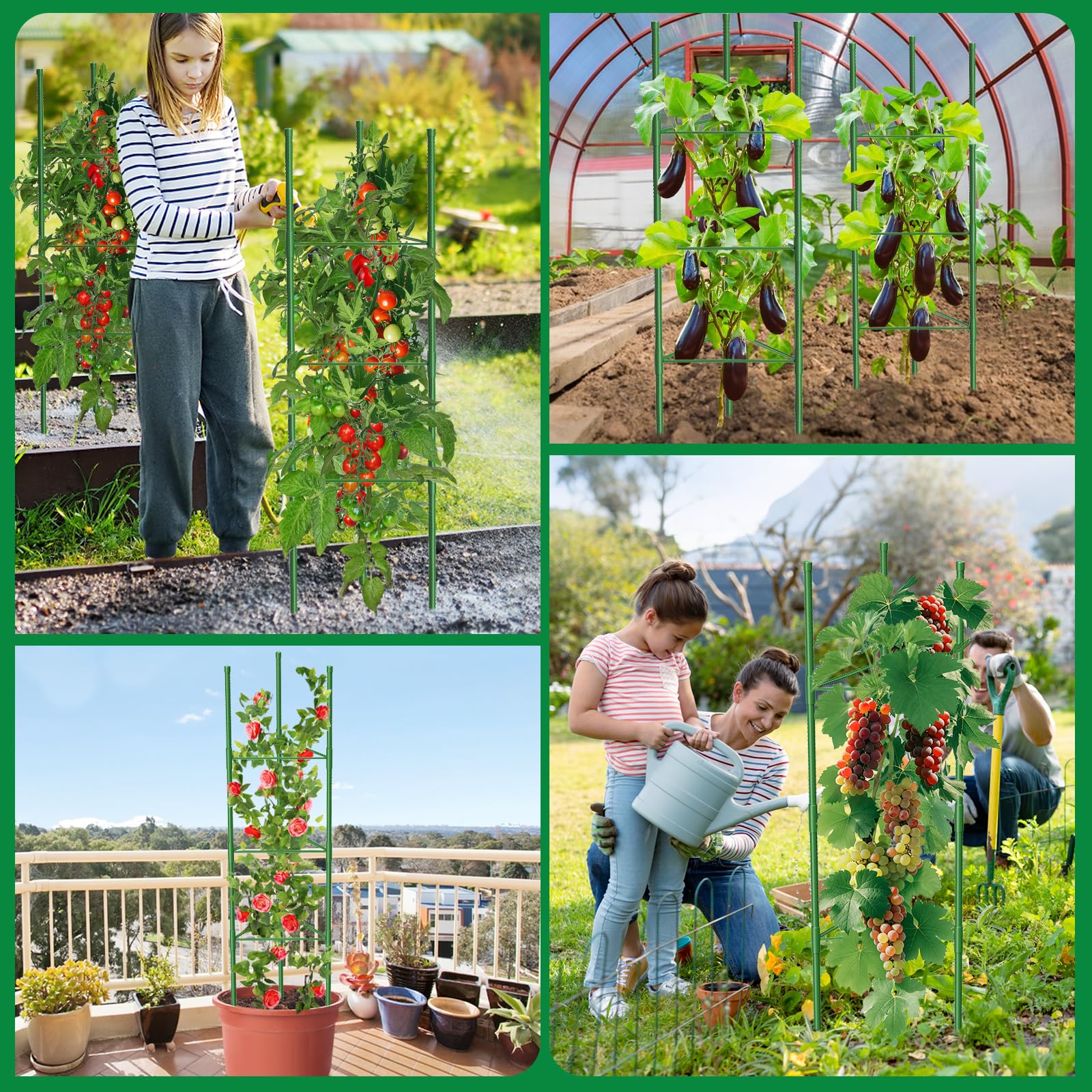 MQUPIN Tomato Plant Support , supporto per piante rampicanti, supporto regolabile in altezza da 130 cm per pomodori, cetrioli, rose, giardini, traliccio in metallo con 20 fascette (6 pezzo)