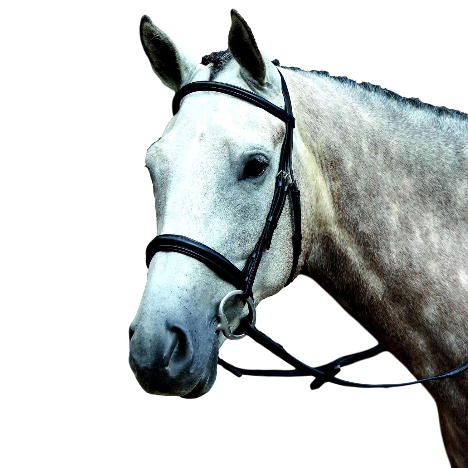 Collegiate Essential Padded Raised Cavesson Bridle, Black, Full