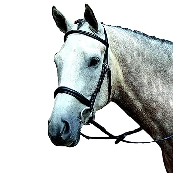 Collegiate Essential Padded Raised Cavesson Bridle, Black, Full
