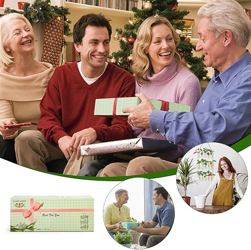 Vista 28 de XXXFLOWER Estación de propagación para colgar en la pared con soporte de madera, 5 tubos de ensayo de vidrio, 3 macetas escalonadas, terrario