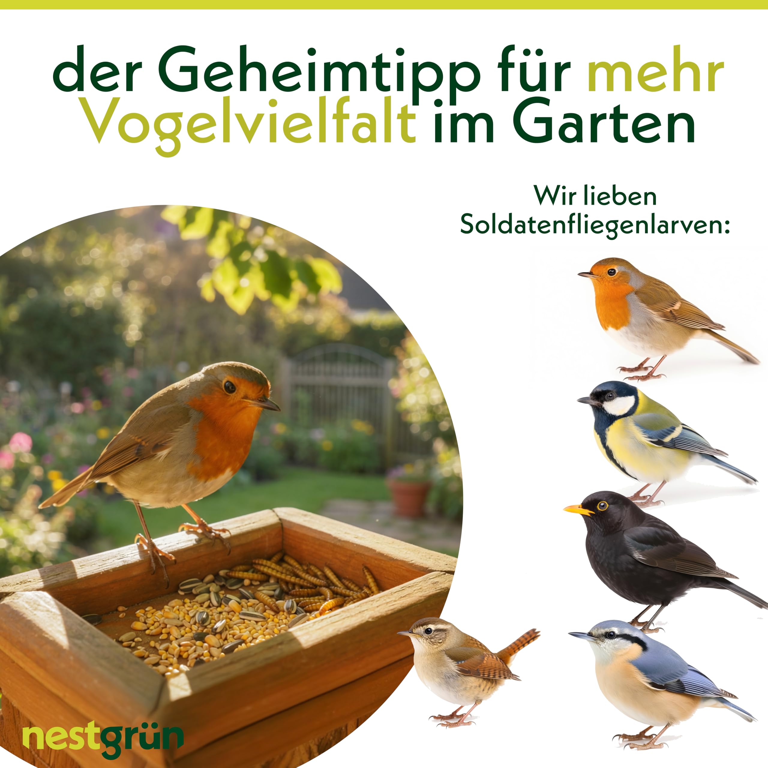 Soldatenfliegenlarven getrocknet 1 kg, Premium Futterinsekten für Ziergeflügel, Vögel, Reptilien, Nager & Fische – proteinreicher Snack, schonend getrocknet, 100% natürlich