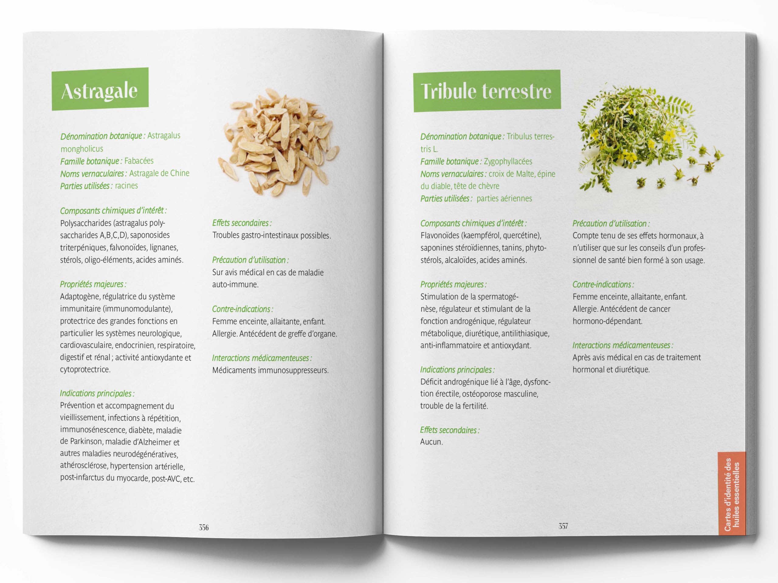 Le guide familial de la santé - Endocrinologie Gynécologie Neurologie Ophtalmologie Ostéoarticulaire Urologie - Tome 2: Tous les conseils issus des médecines complémentaires pour vous accompagner