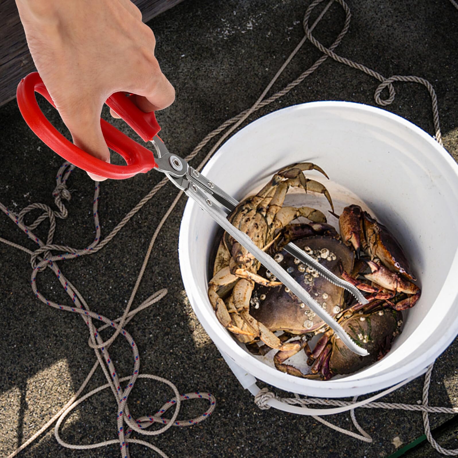 Pince à Crabe Longue en Acier Inoxydable, Portable et Légère