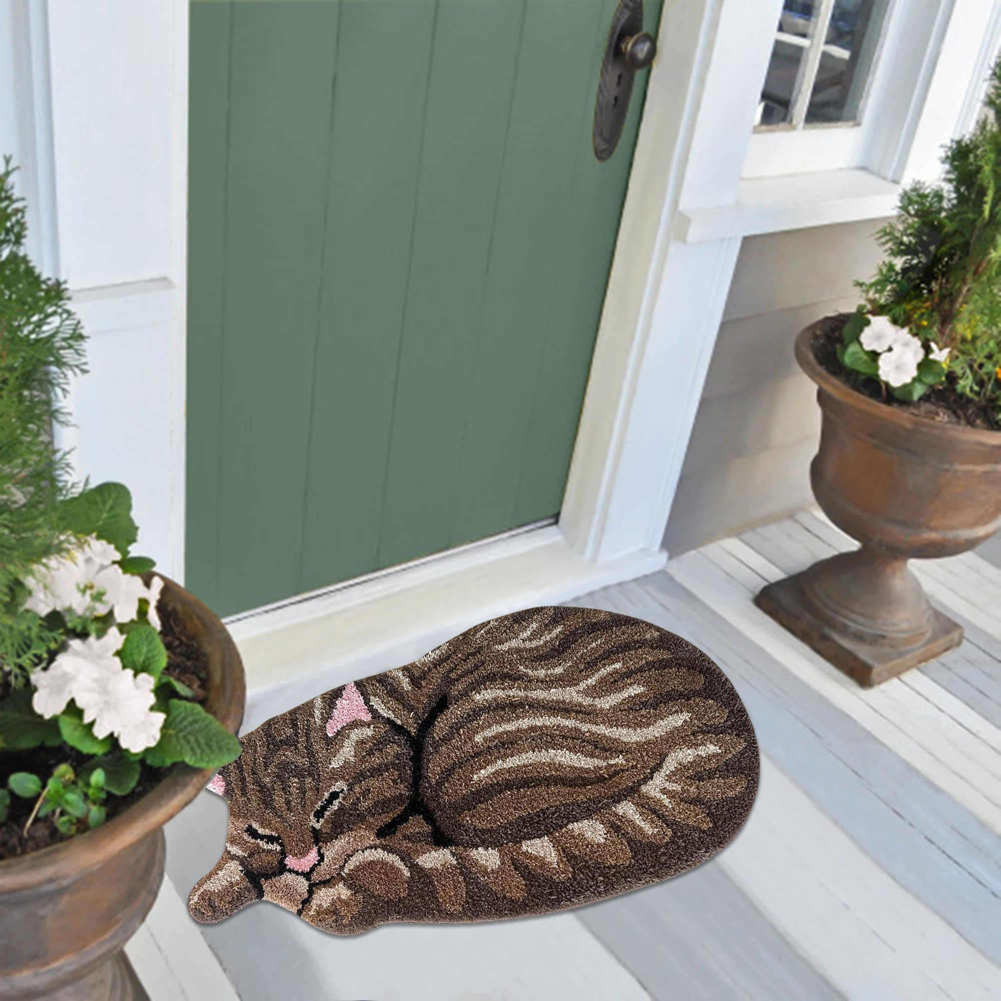Amazon.com: CrazyCoolCat Cat Rug - Decorative Cat Door Mat with