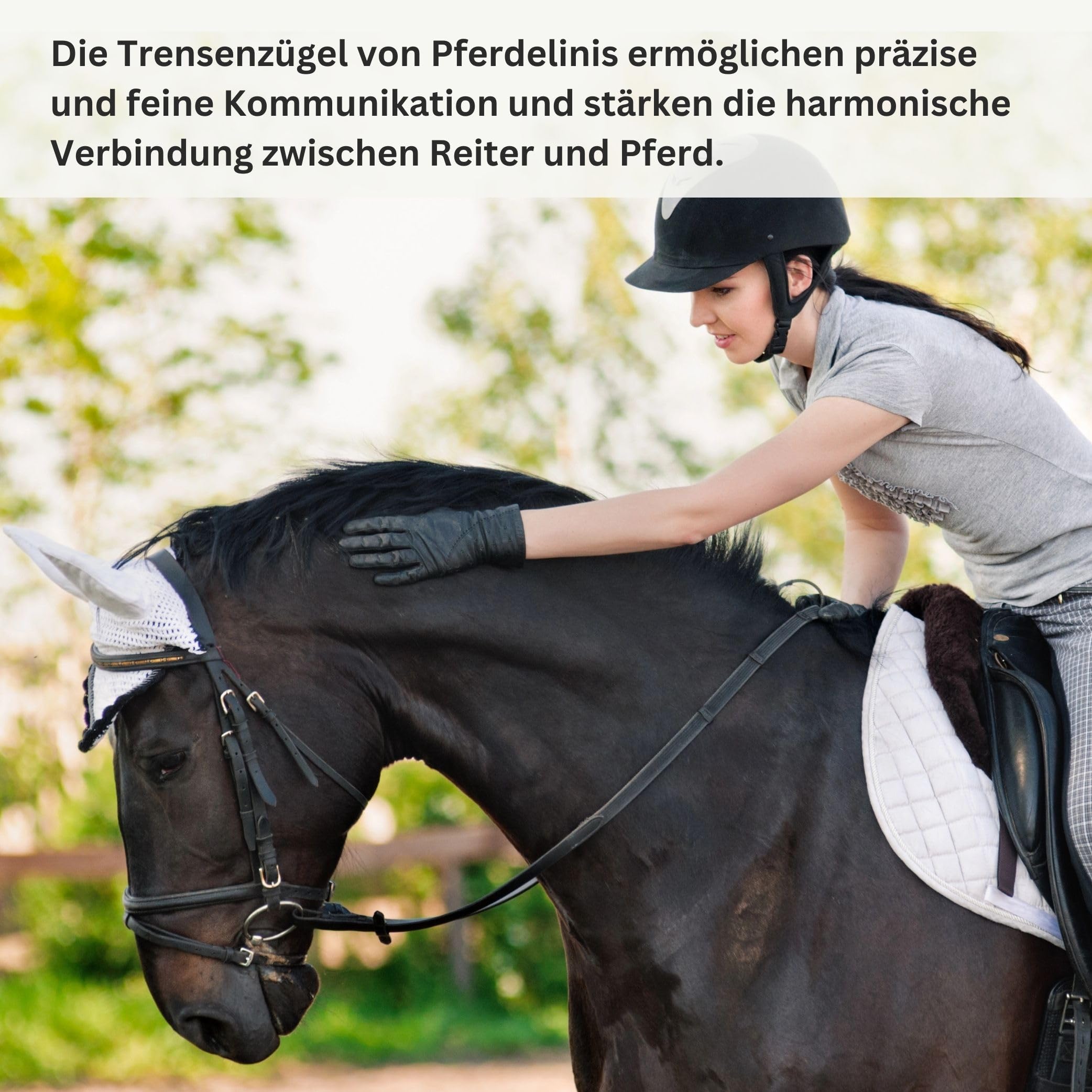 Pferdelinis Trensen Riendas para caballos, duraderas correas en negro o marrón, ancho 18 mm, longitud 2,9 m (marrón)