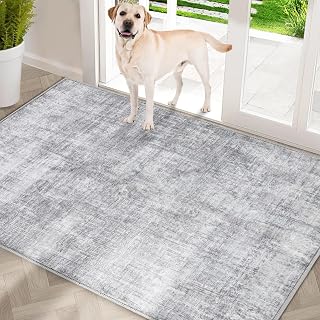 COMSLE Indoor Door Mat, Washable Front Door Mat for Entrance 32x48, Grey