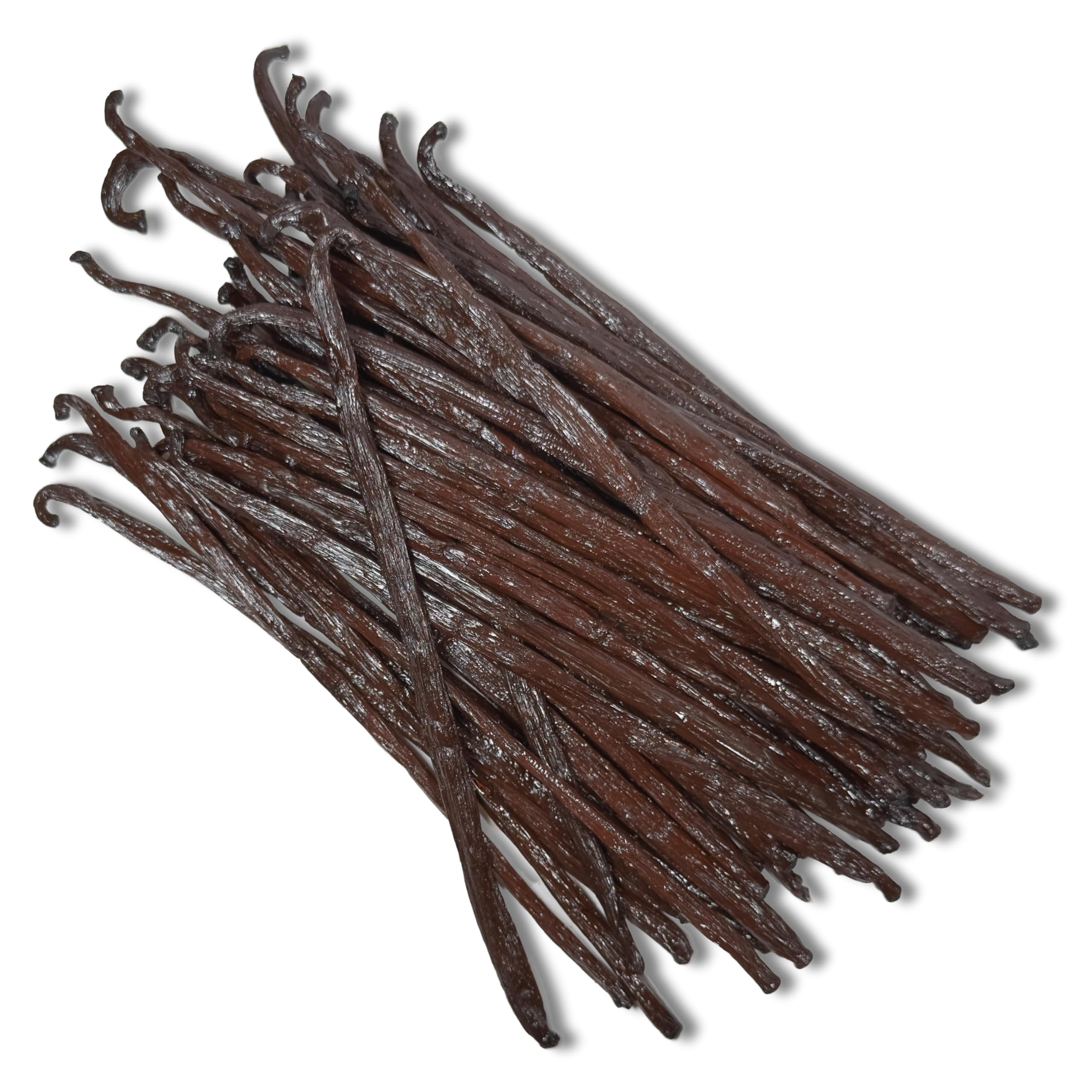 50 Gousses de Vanille Bourbon de Madagascar - 16-18 cm - Taille XL - Planifolia "Réserve Prestige" - Qualité Premium - Charnues et Aromatiques - 100% Naturelles - Idéal pour Pâtisseries et Desserts