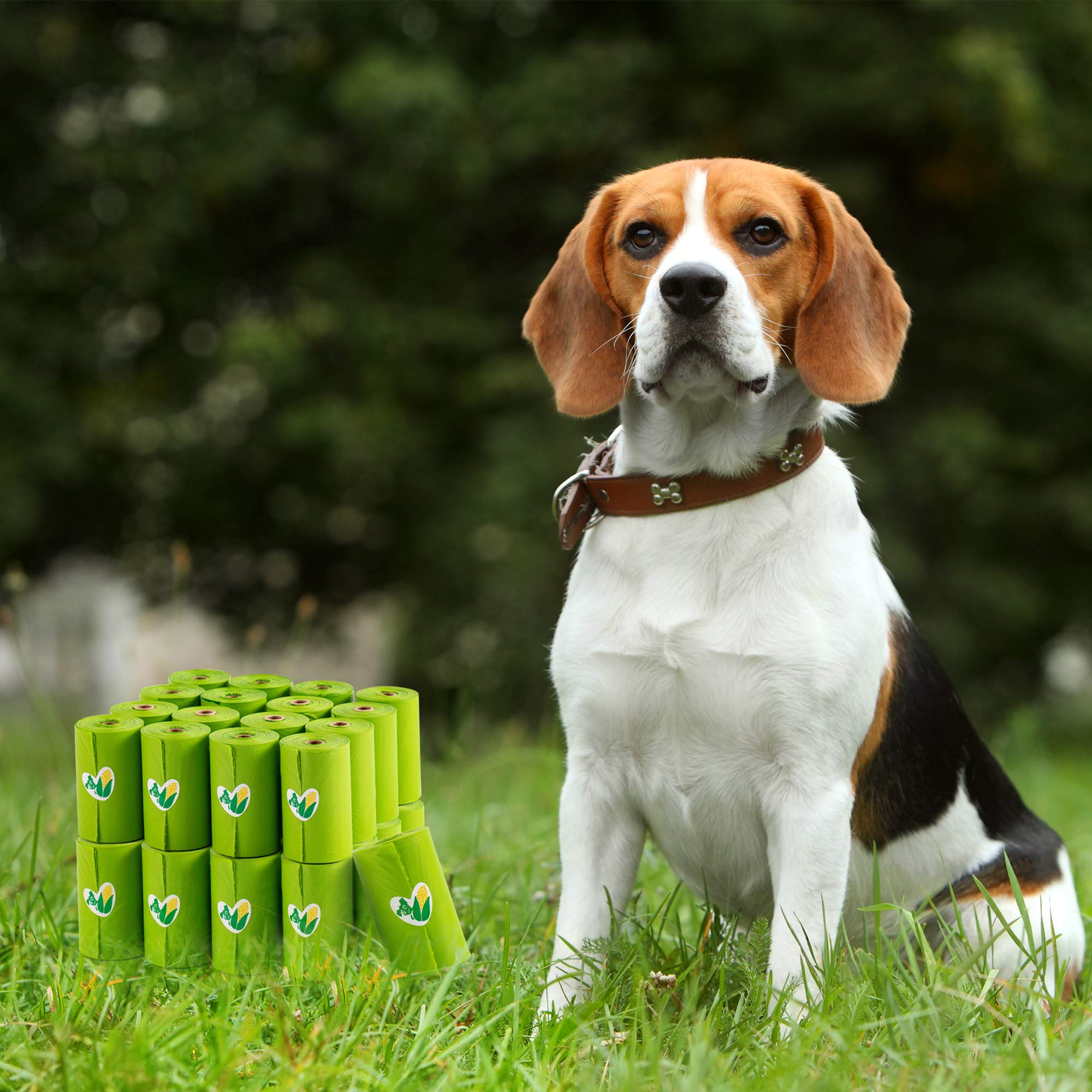 Bolsas para excrementos compostables certificadas, bolsas para excrementos a base de plantas para perros, bolsas de basura sin perfume – a base de vegetales, extra gruesas con 100% a prueba de fugas