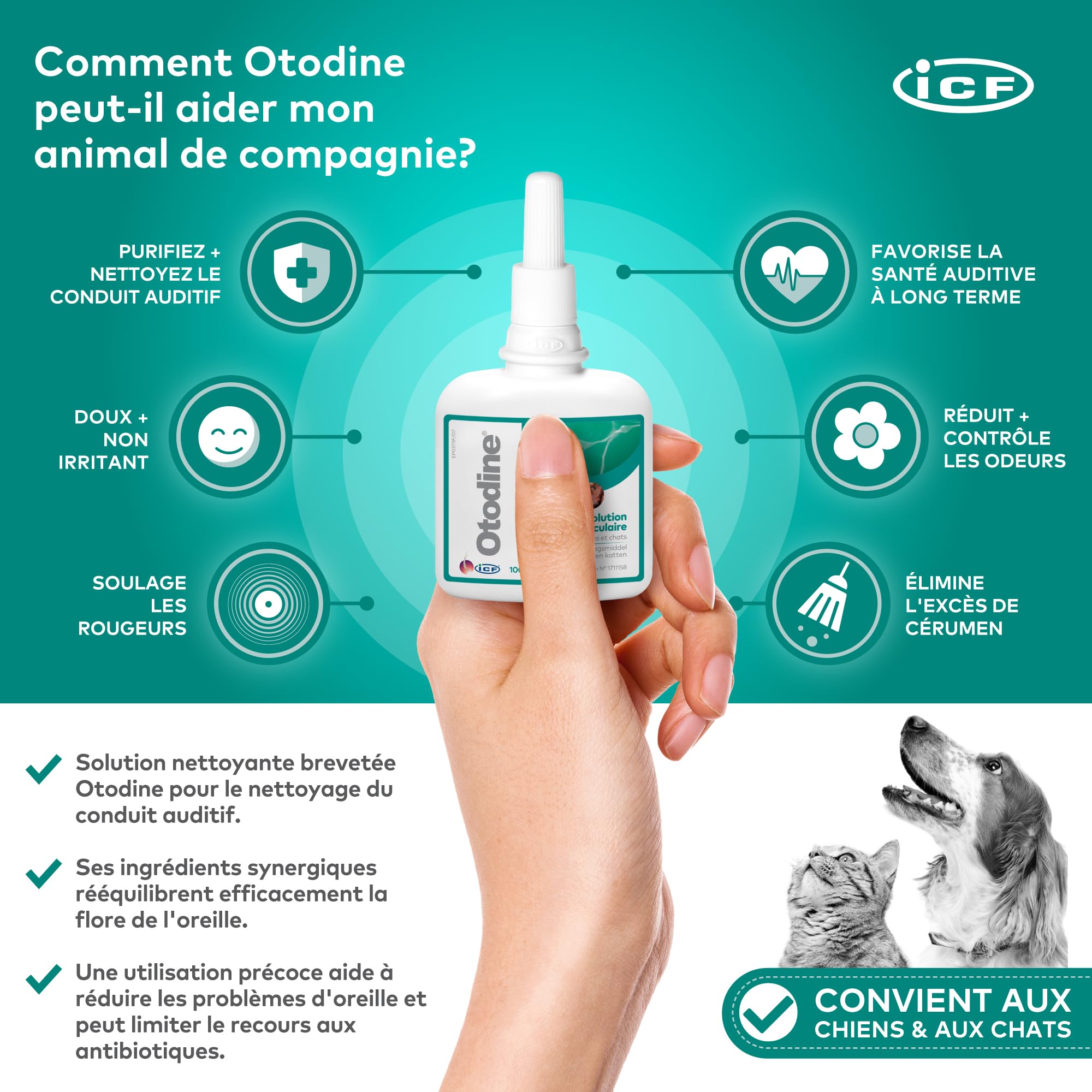 ICF Otodine | Nettoyant Oreille Chien et Chat | Nettoyant Auriculaire Assainissant pour Chien et Chat | Soin pour l'Hygiène et la Santé Auriculaire des Animaux Sujets à l'Otite Externe | 100ml