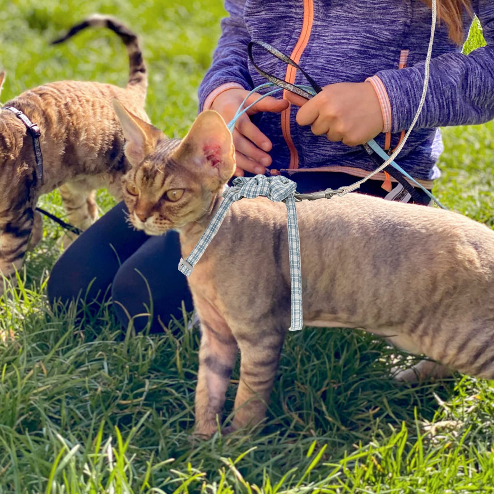 POPETPOP 4sets Pettorina Regolabile Per Gatti Con Guinzaglio Di Traction Leash Per Cani e Gattini Design Comfortevole e Stile Alla Moda Per Passeggiate Sicure