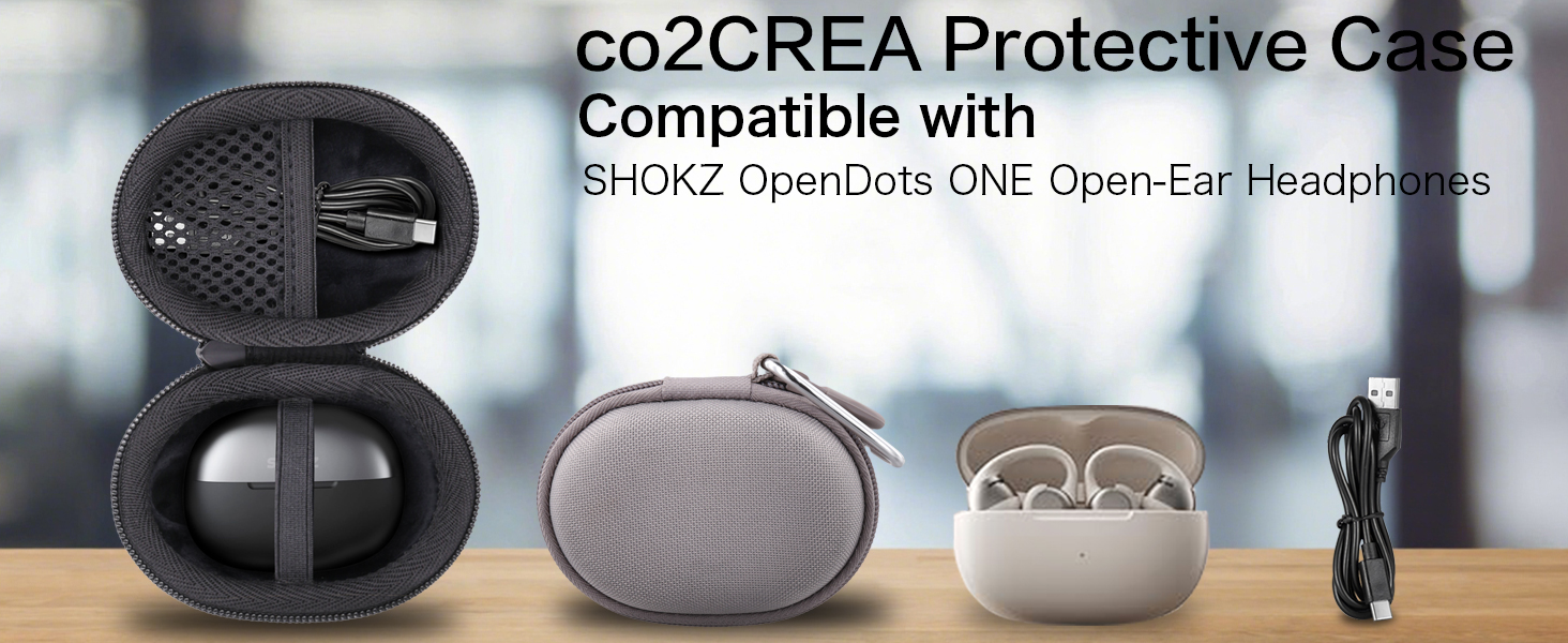 Amazon.com: for SHOKZ OpenDots ONE - Open-Ear Headphones Hard