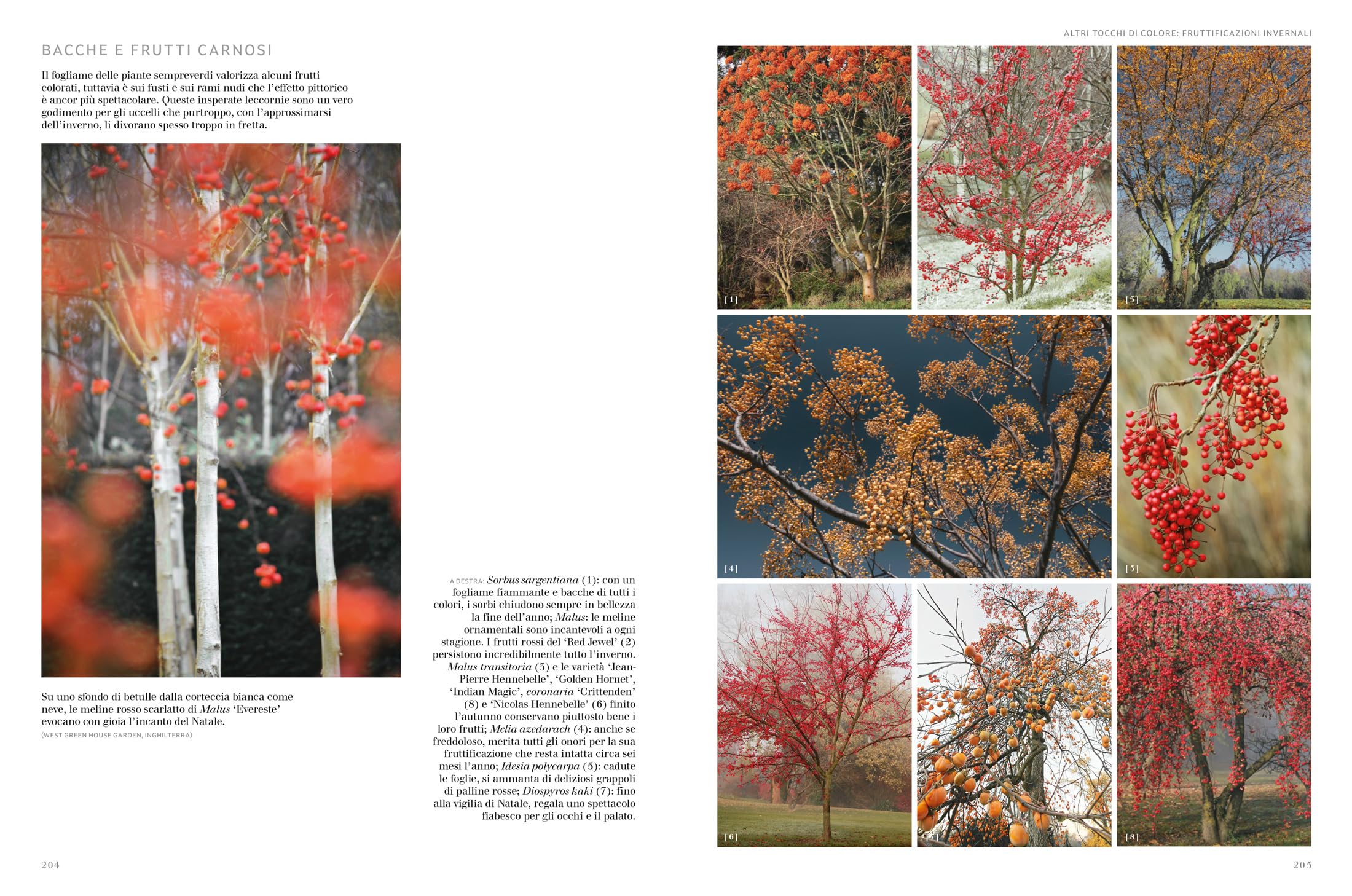 Giardini d'inverno. Una stagione reinventata
