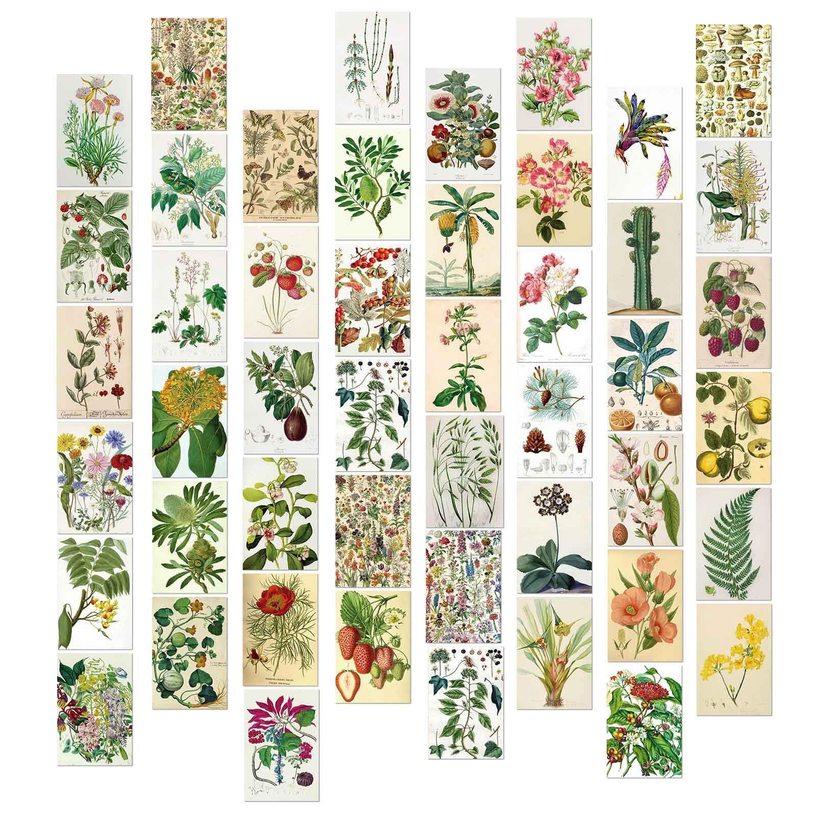 Amazon | AllFun ポストカード 花 植物 メッセージカード 50枚セット  