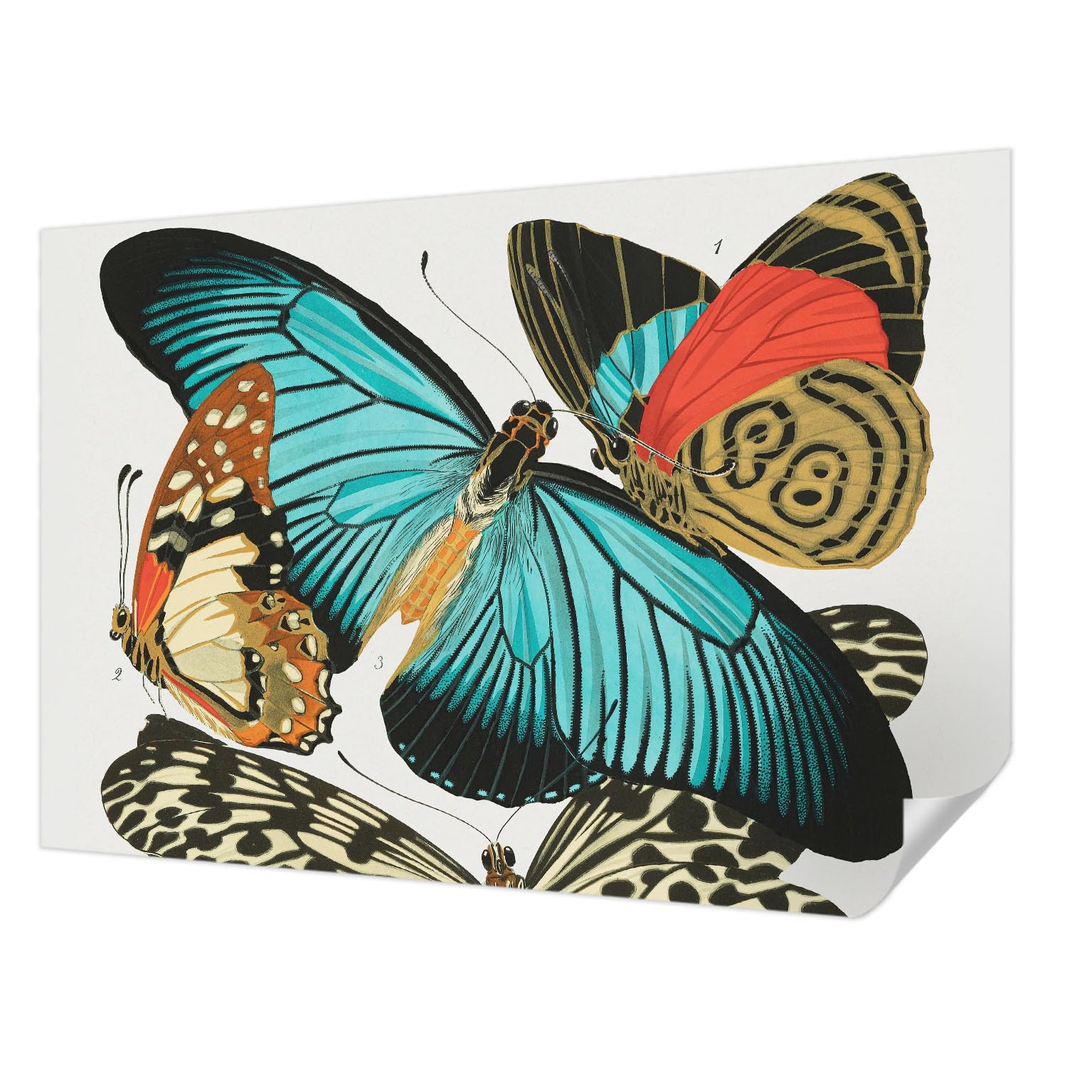 Papel tapiz dormitorio autoadhesivo y decorativo de 152x104 cm
