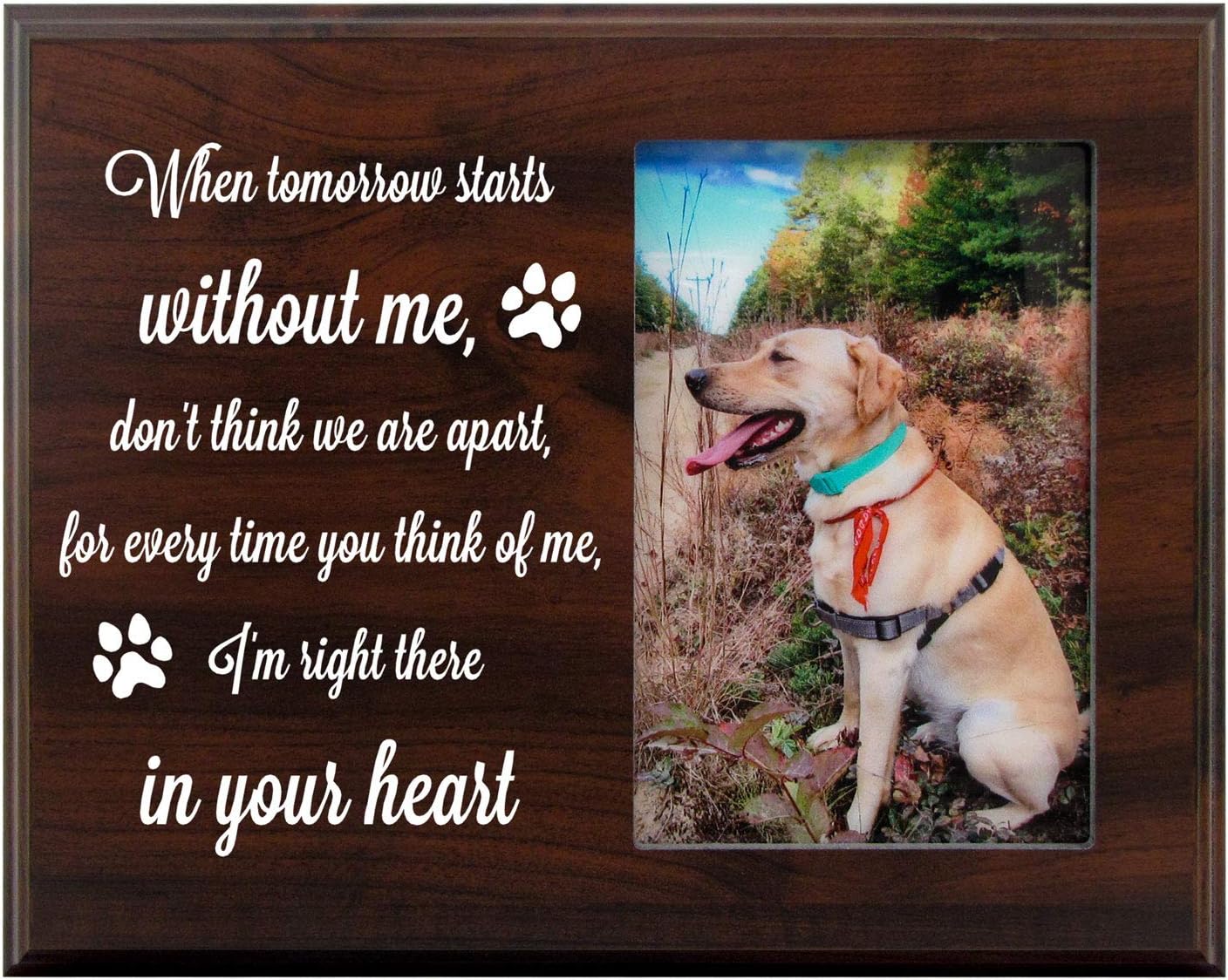 Mainely Urns 8x10 Photo Plaque - Pet Memorial Picture Frame - When Tomorrow Starts Without Me, Don't Think We are Apart - Sympathy Dog or Cat Bereavement Plaque with Heartfelt Quote