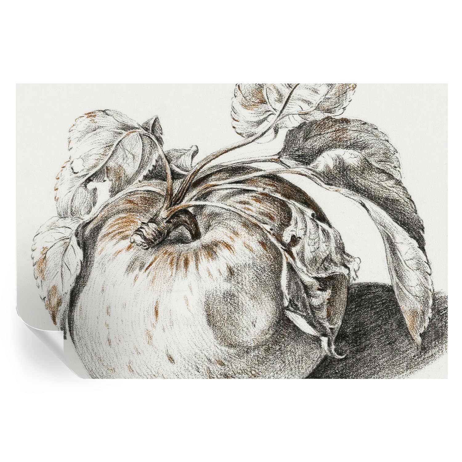 Papel pintado adhesivo de hojas de manzana 152x104 cm para decorar la pared de dormitorios