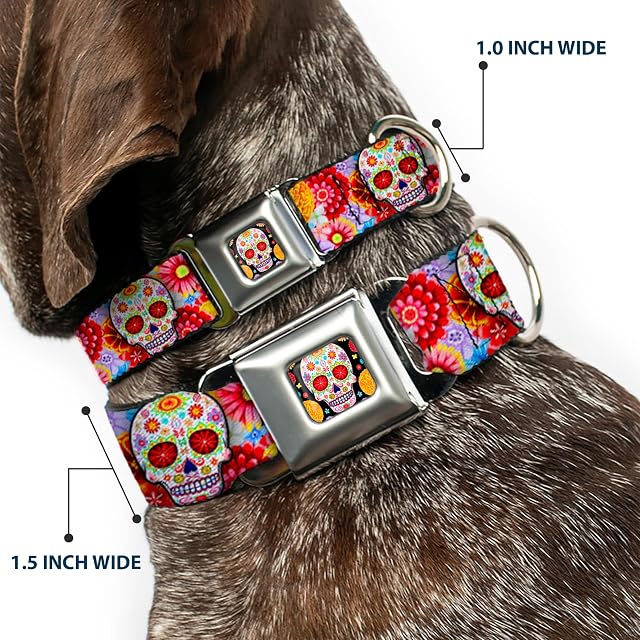 Foto 2 de 8 de Buckle Down 9 - 15 "azúcar Calaveras Estrellas Blanco/Multi Color Collar de Perro