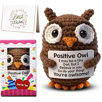 Handmade Crochet Owl Ornament - Emotional Accompaniment & Gift for Adults for Christmas Birthdays & Special Occasions