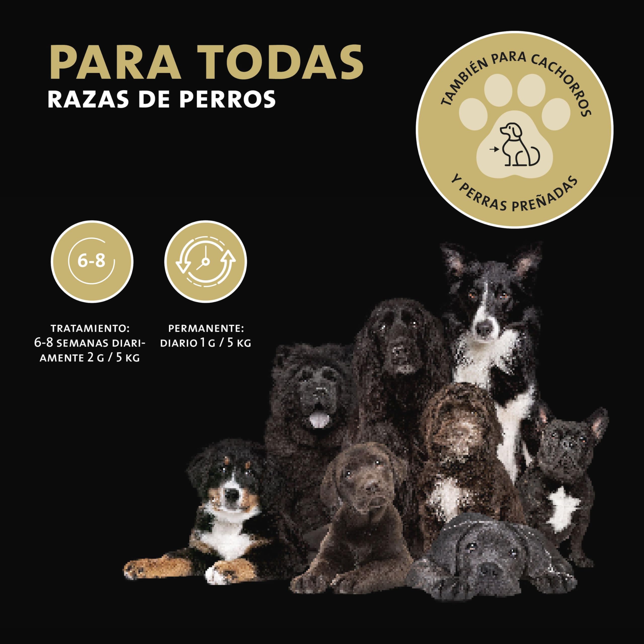Peticare Polvo para músculos y actividades para perros – Soporte natural para la musculatura – con colágeno y BCAA – Suplemento vitalidad