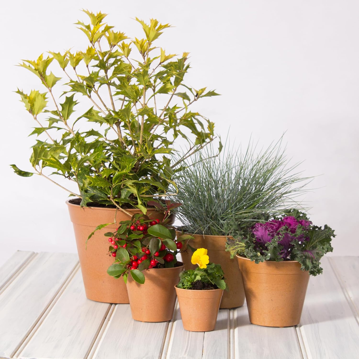 Haxnicks 5X Indoor & Outdoor Sustainable Bamboo Fibre Plant Pots | 5 Inch Diameter | Pack of 5 | Terracotta | Pot110201
