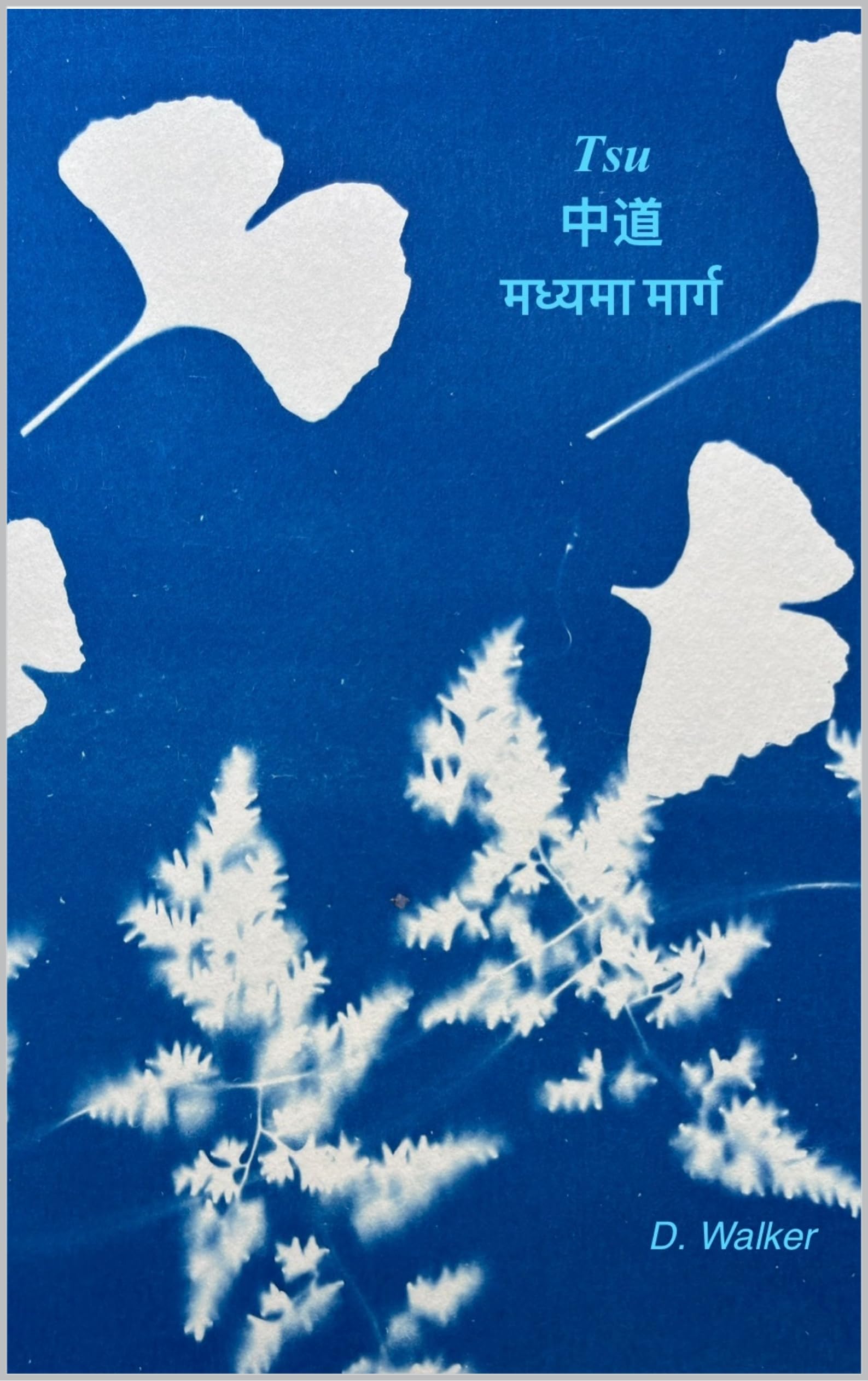 Tsu 中道 मध्यमा मार्ग