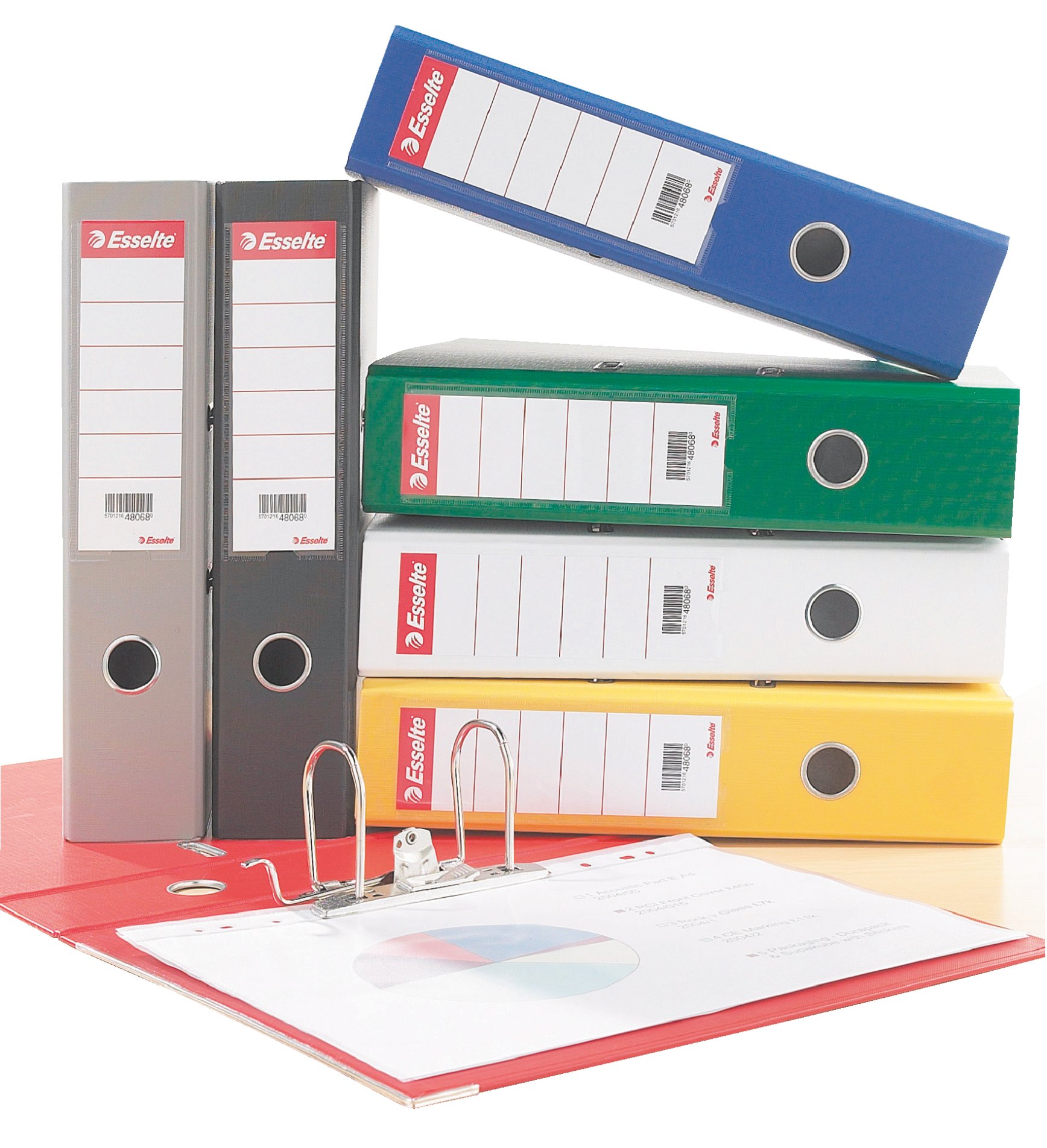 Leitz Etichette Adesive Per Raccoglitori - 10 Pezzi Bianchi 61,5x285 Mm - Cartoncino Opaco Per Dorso 80 Mm