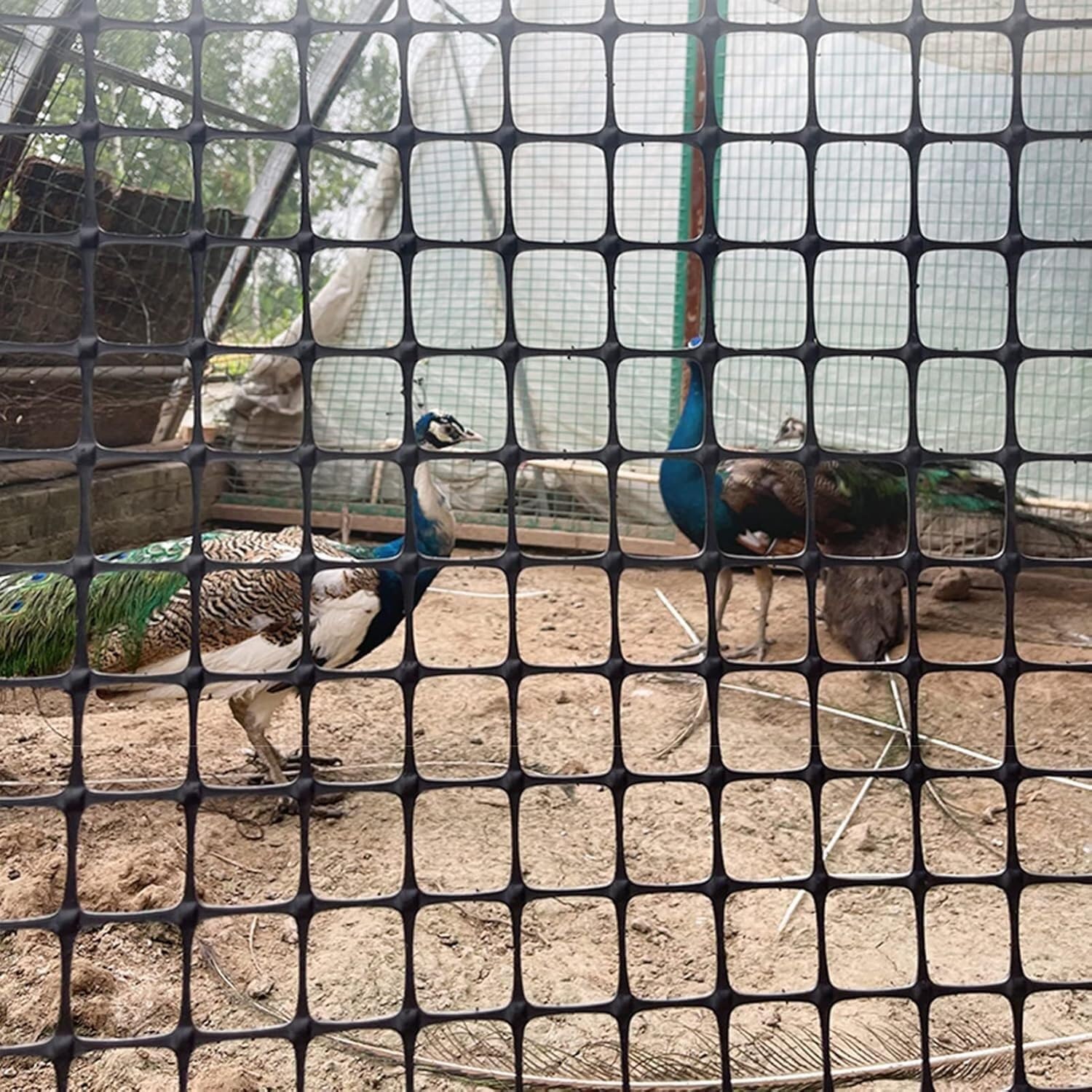 Clôture de jardin pour poules et lapins en plastique anti fuite et neige 1x50m