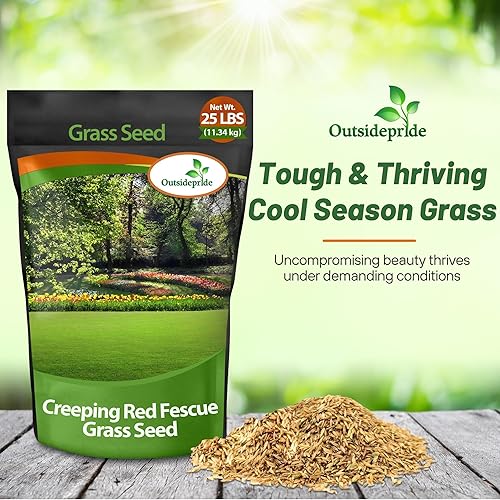 Miniatura 6 de Outsidepride Semilla de hierba de césped fina roja rastrera - 25 libras