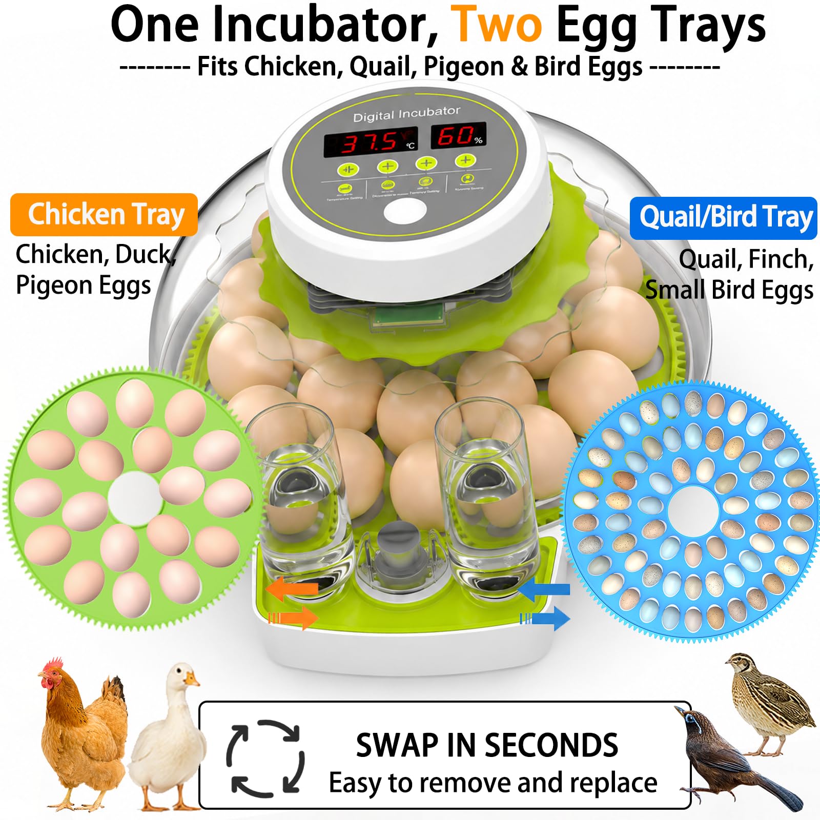 Incubatrice per uova 18/60 con display di umidità, candela per uova, tornitrice automatica per uova, incubatrice per uova di pollame, anatre, anatre, quaglie, verde