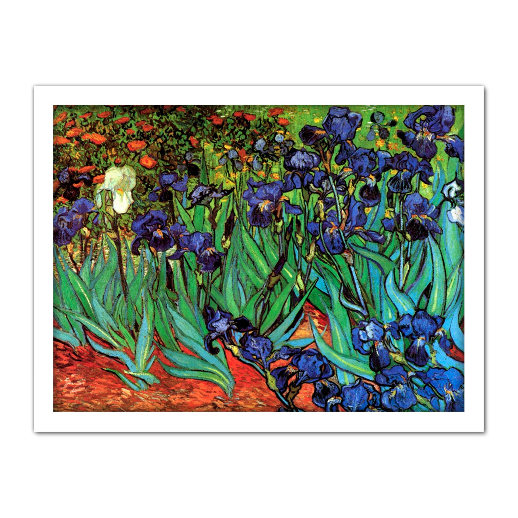 Wee Blue Coo Van Gogh Irises Artwork Framed Wall Art Print 18X24 Inch