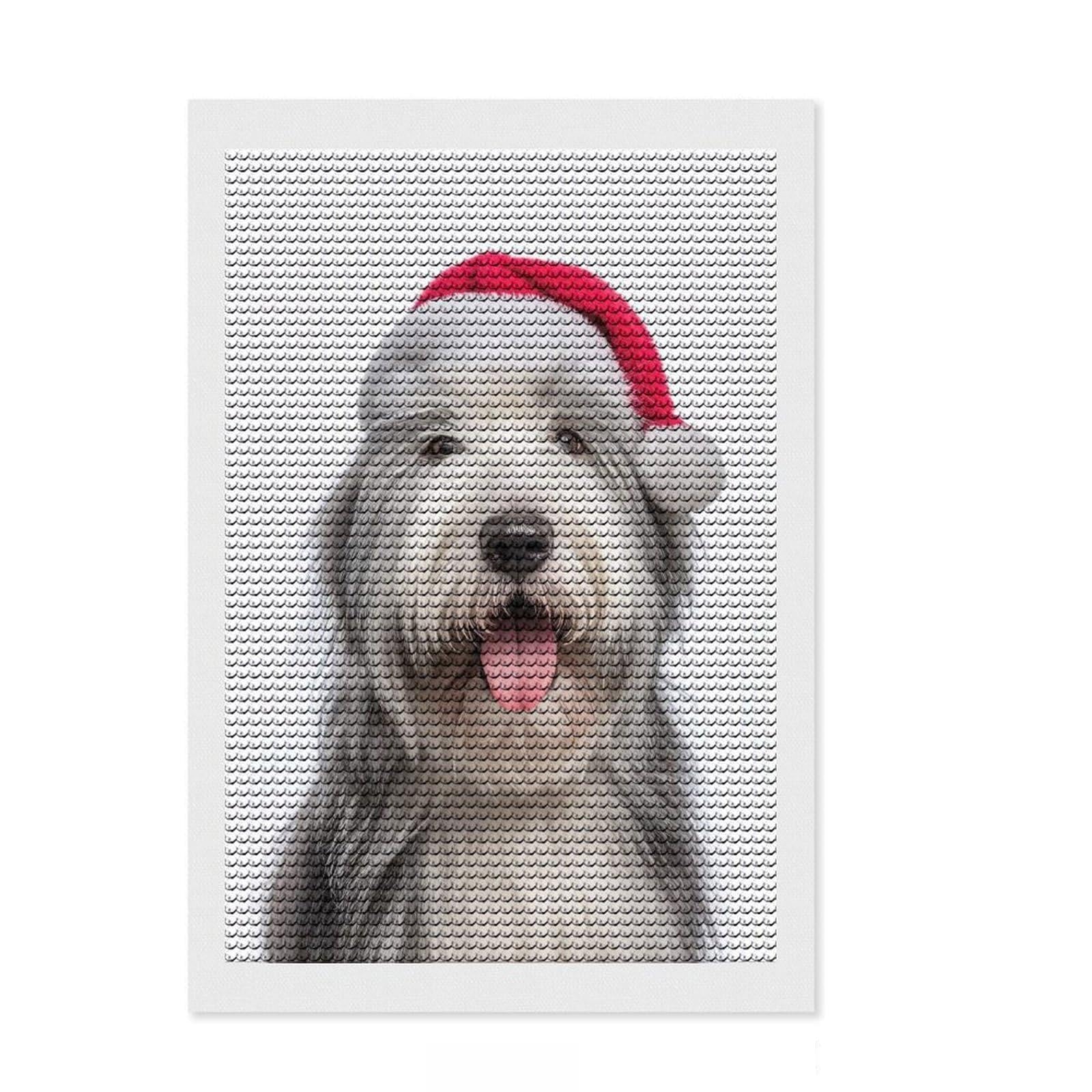 Junmoney Old English Sheepdog with Santa Hat Full Drill Diamond Painting Kit 8"x12", Easy to Follow Symbols, Neat Printed Canvas, Creative Leisure Activity