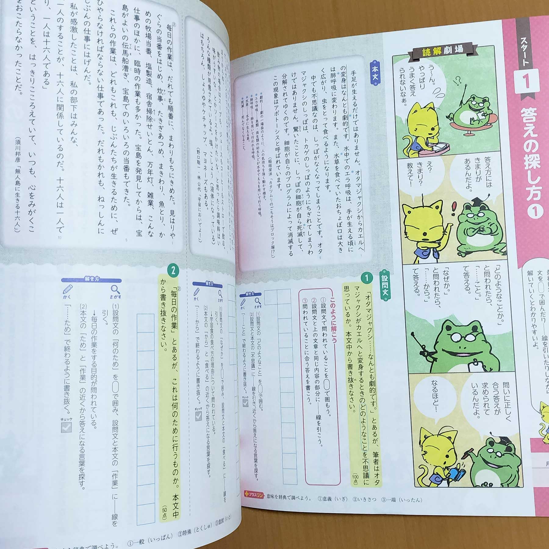 Amazon.co.jp: 2025年度版「あかねこ 読解スキル 1 入門編【中は