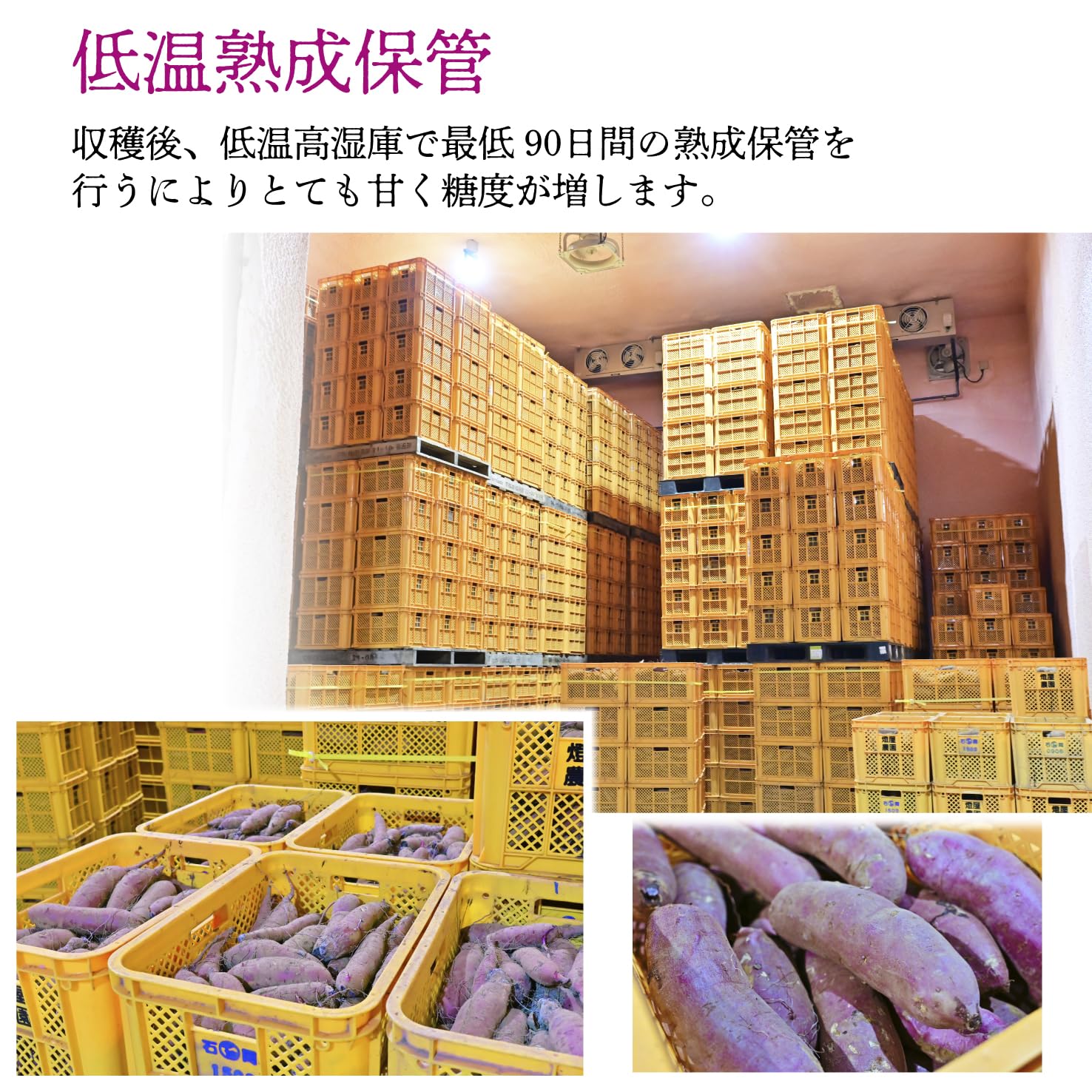 Amazon.co.jp: 【全国一のほしいも産地～茨城県産】究極のギフト～900g