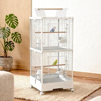 Bird Cage, 2-Tier, Multi-Bird, Bird Cage 1 Unit for 2 Rooms, Detachable Partitions Height 100cm, Large, Transparent Panels, Stylish, with Casters, for Parakeets, Budgerigars, Hamsters