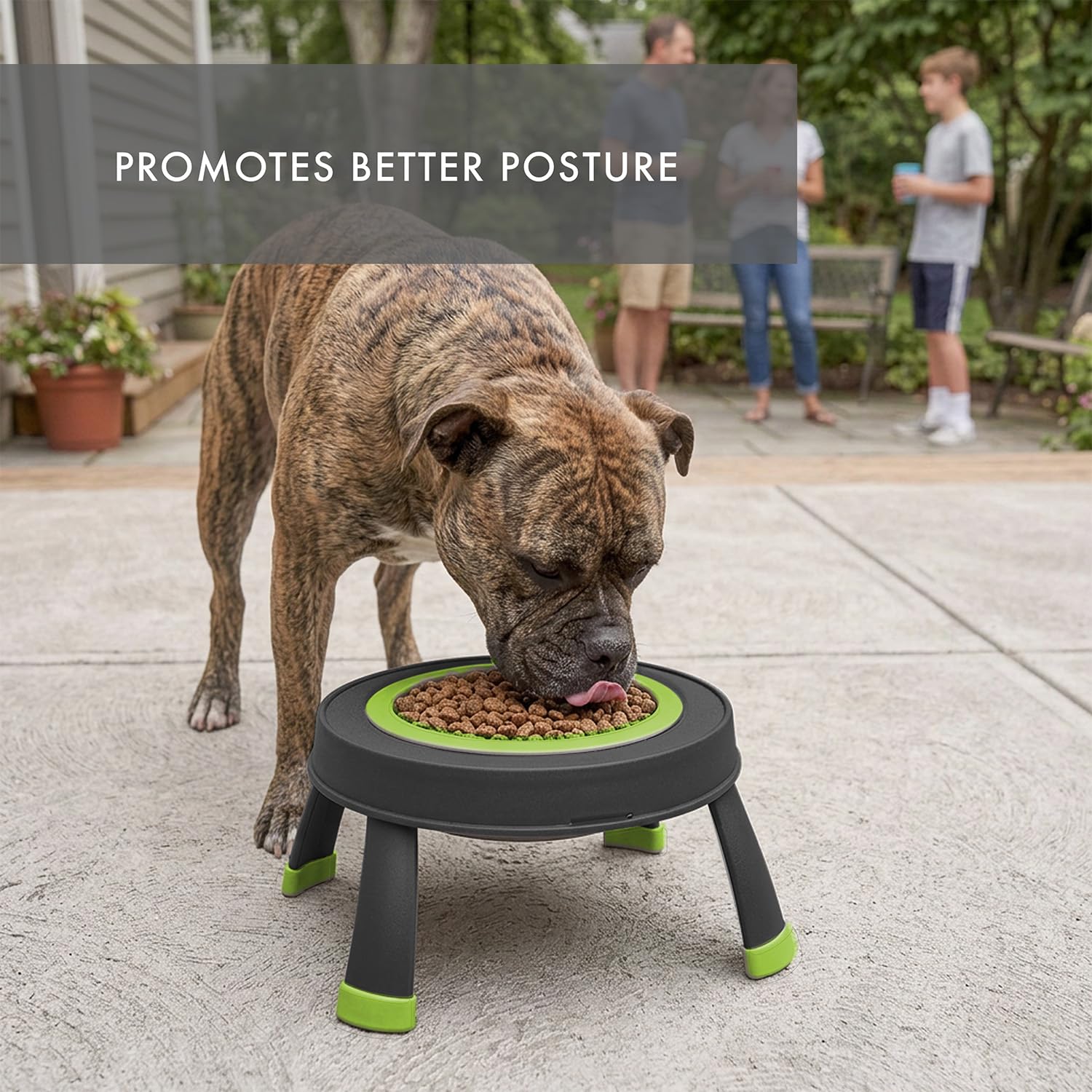 Dexas Popware for Pets Futterspender für Haustiere, erhöht, groß, Grau/Grün