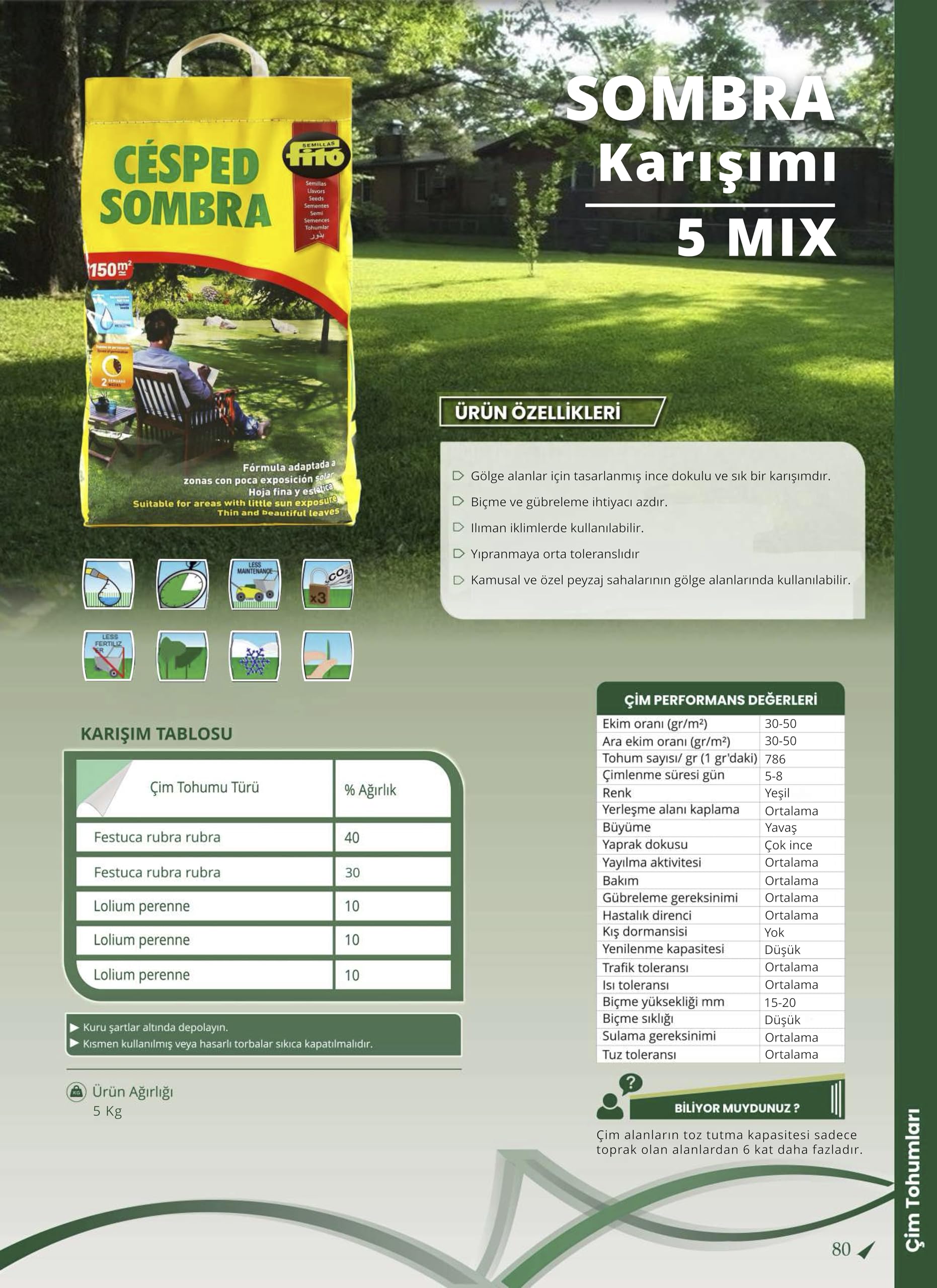 Semilla Césped Sombra - Semillas Fitó