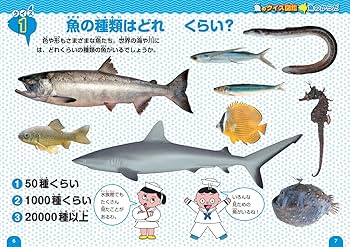 小学館の図鑑NEO くらべる図鑑・ニューワイド学研の図鑑 18冊セット 小学館の図鑑NEO くらべる図鑑・ニューワイド学研の図鑑 18冊
