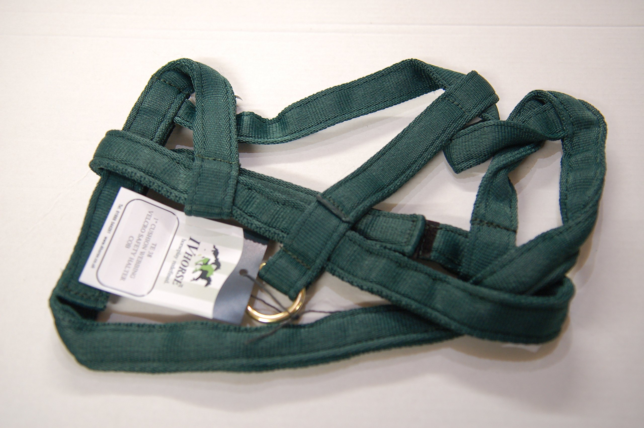 IV Horse Pony Safety Turnout Headcollar (Green) โ image 1